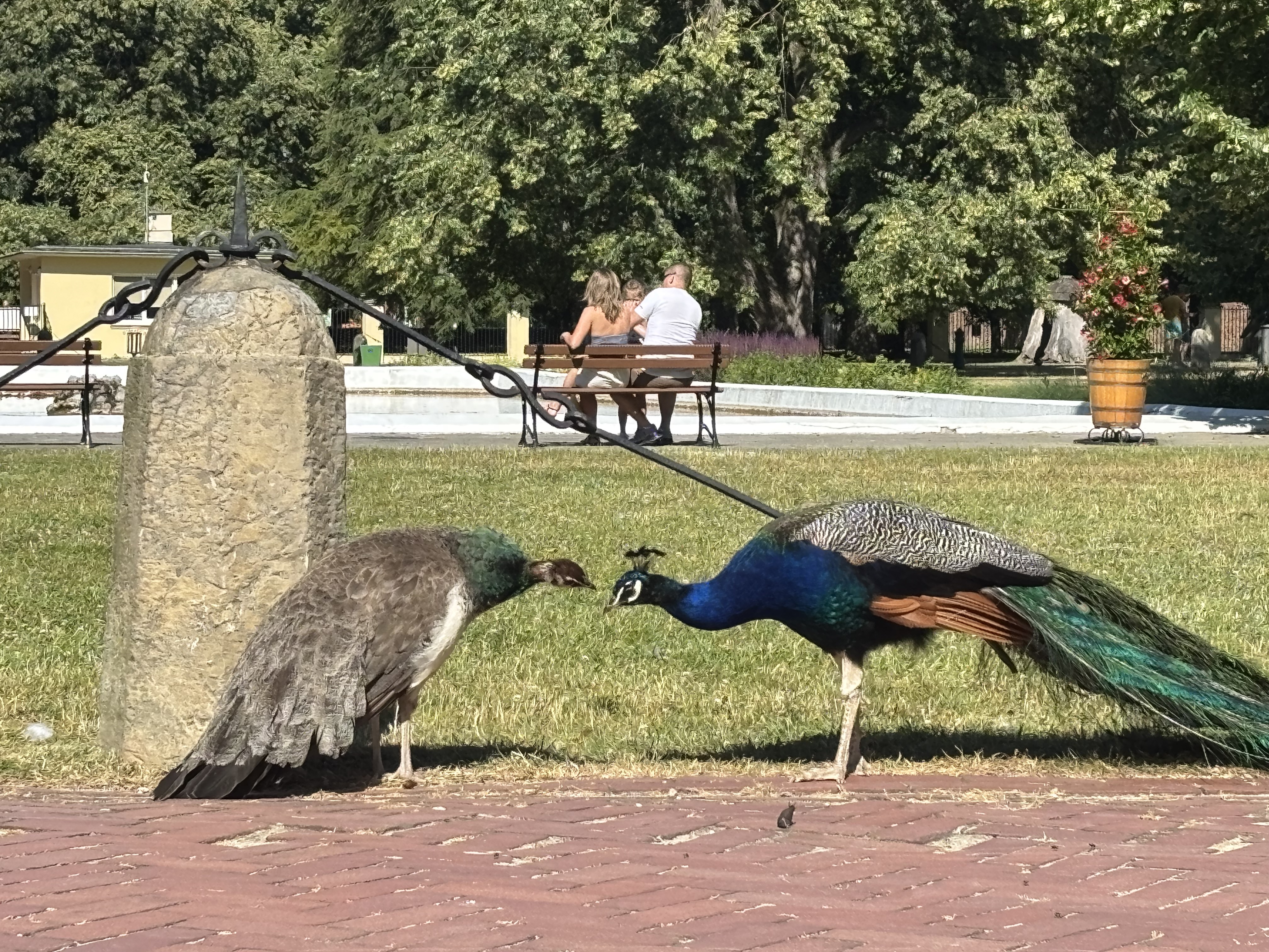 Krakowska, Kazimierz Dolny do D艂uga, Pu艂awy