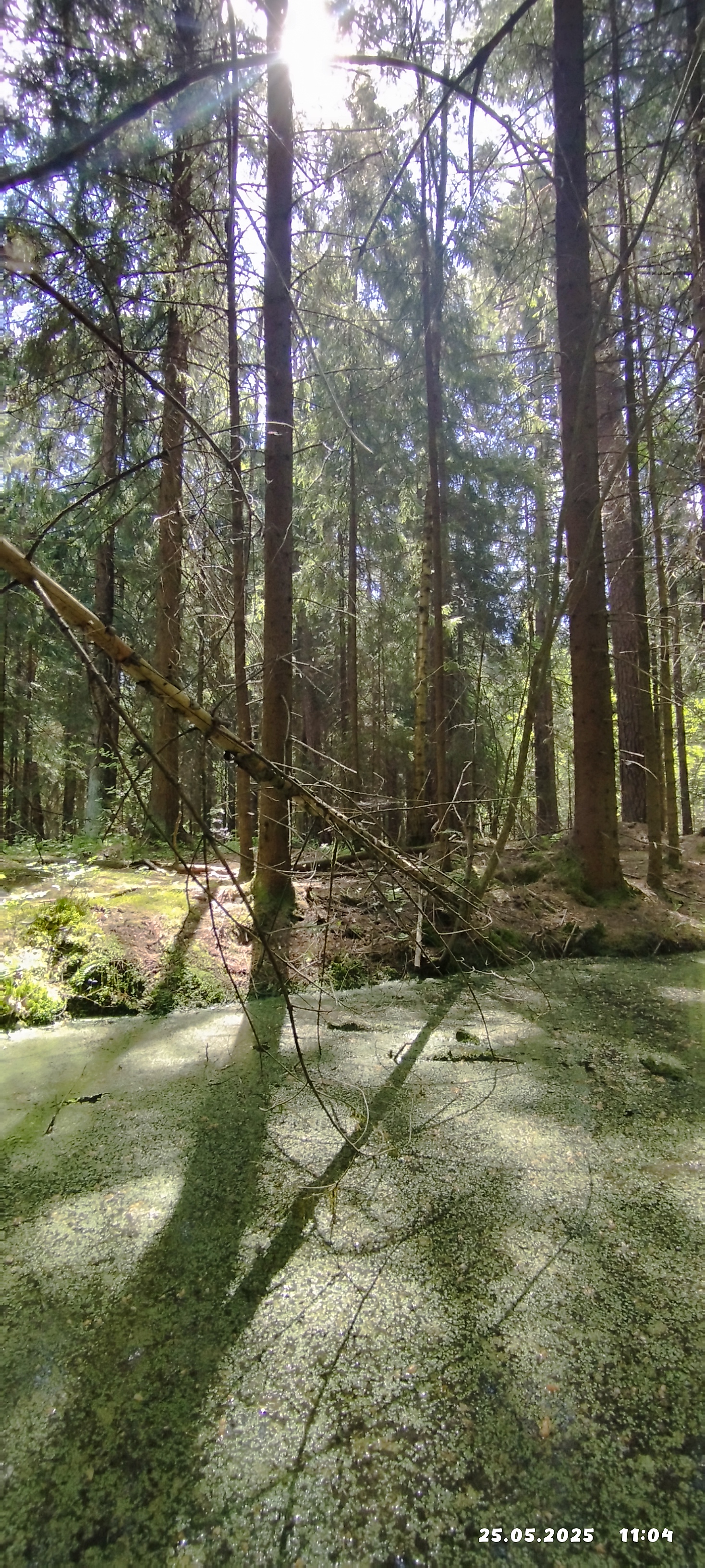 Photo 7 of the Bikemap route "От Поляна Снт до проспект Ленина 39, Балашиха"