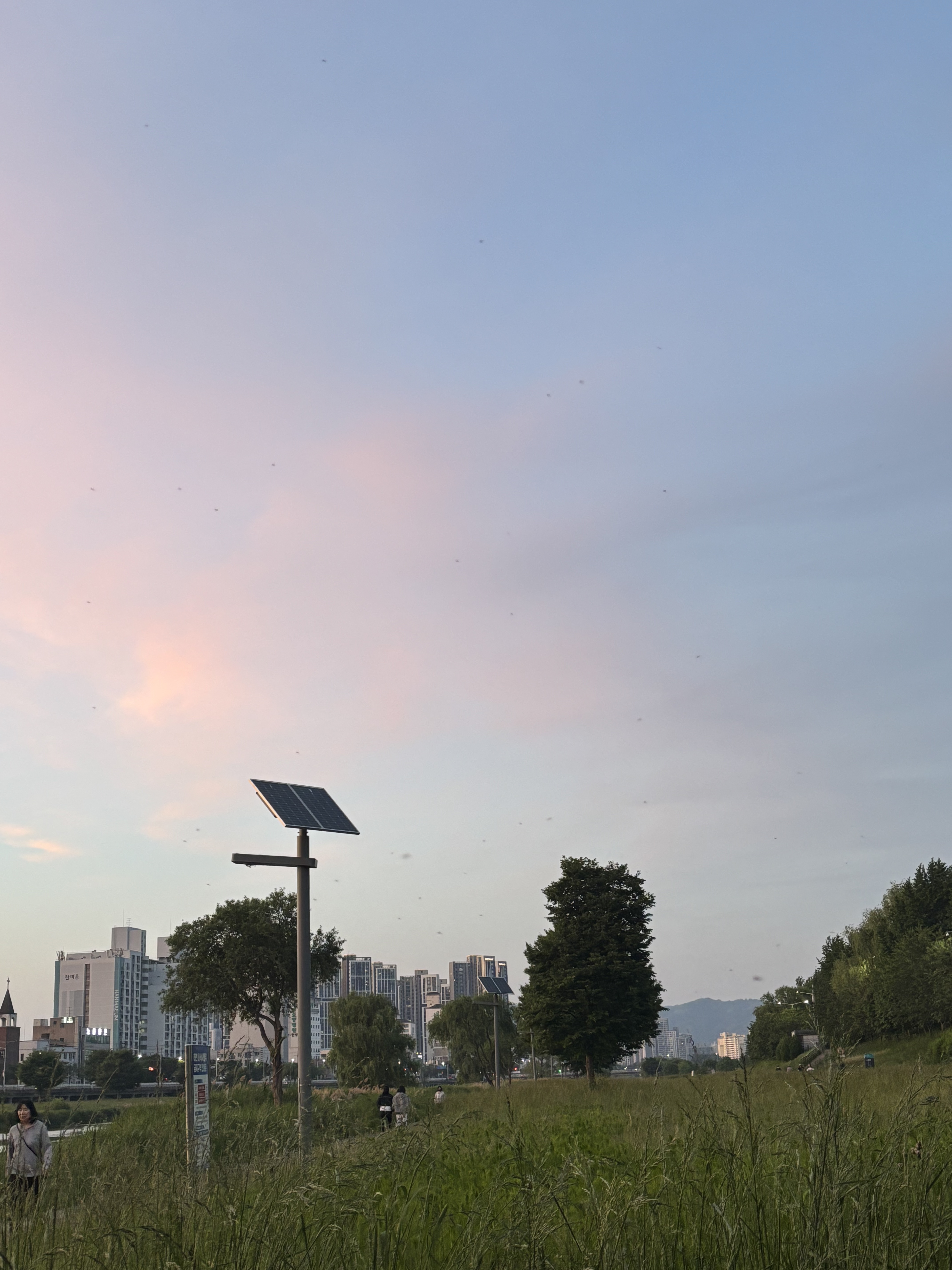 Photo 8 of the Bikemap route "용두동, 대전광역시에서 선화동, 대전광역시까지"