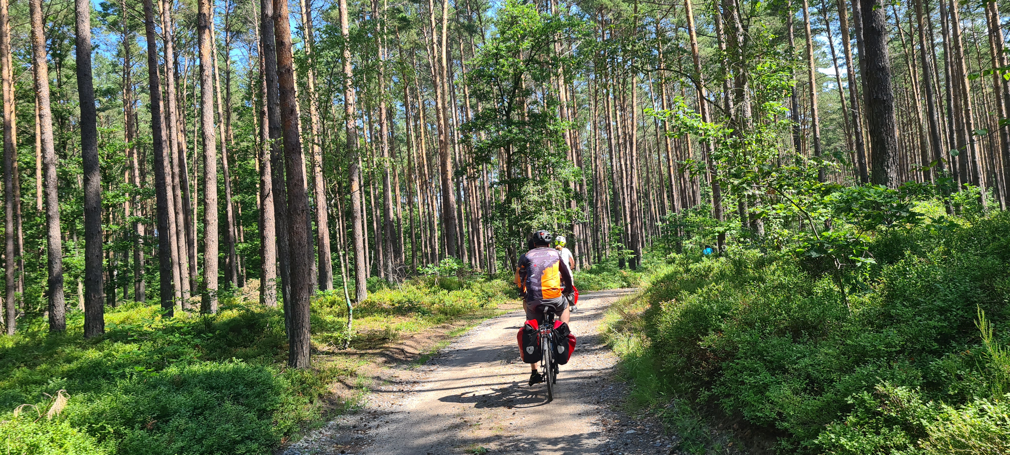 Norberta Barlickiego nach Dziwna 15A