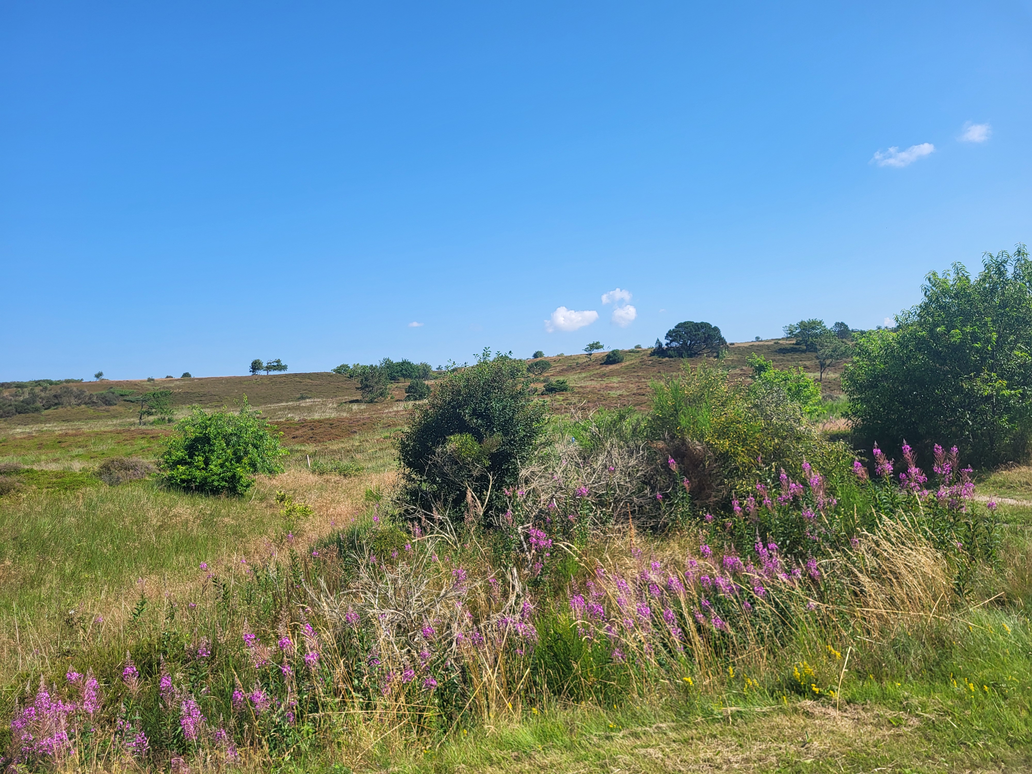 Løgstør to Skødstrup 18/7-25