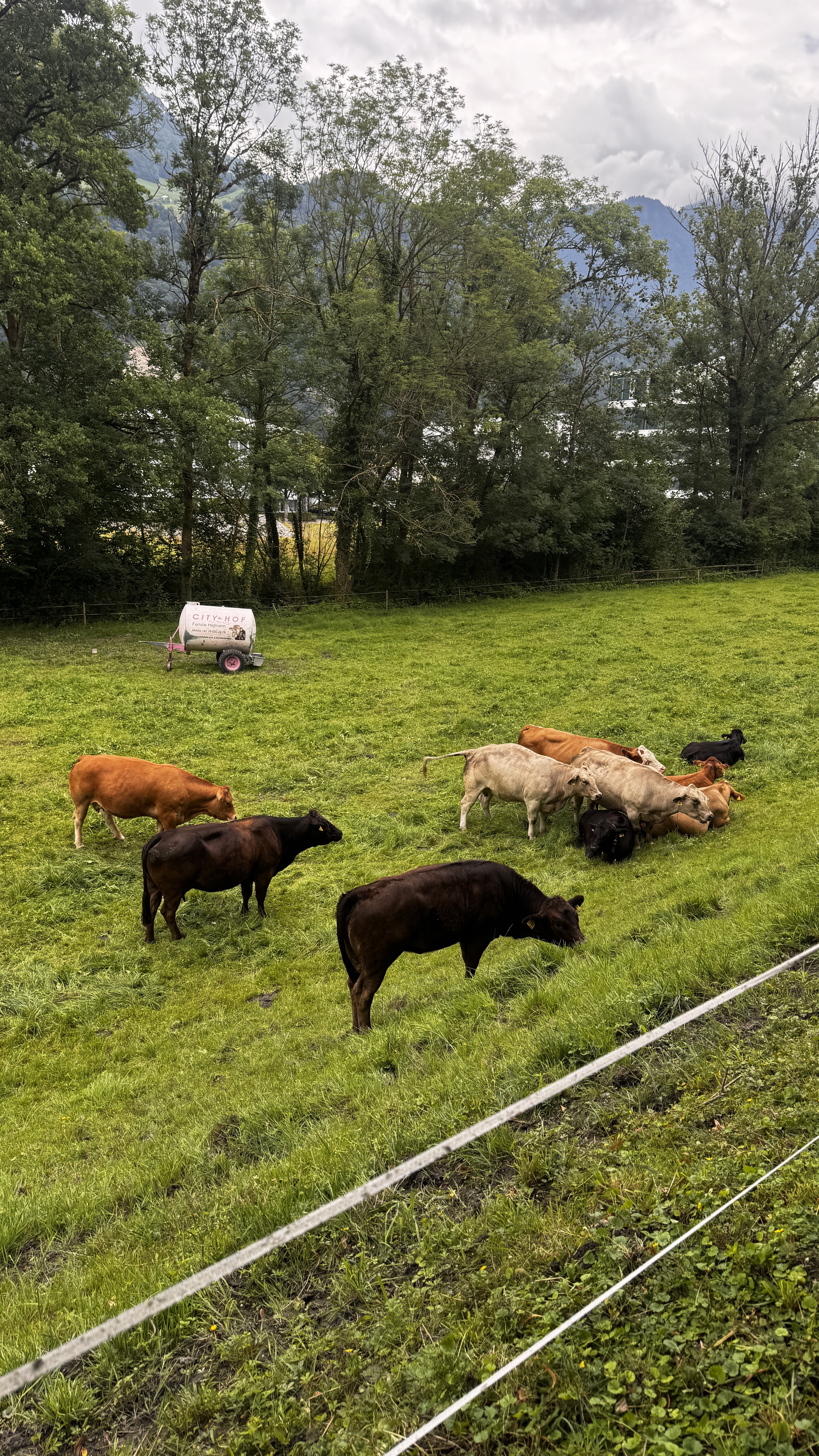 Städtle, Vaduz to Via Alpina Green Trail: Sücka-Lenk, Vaduz