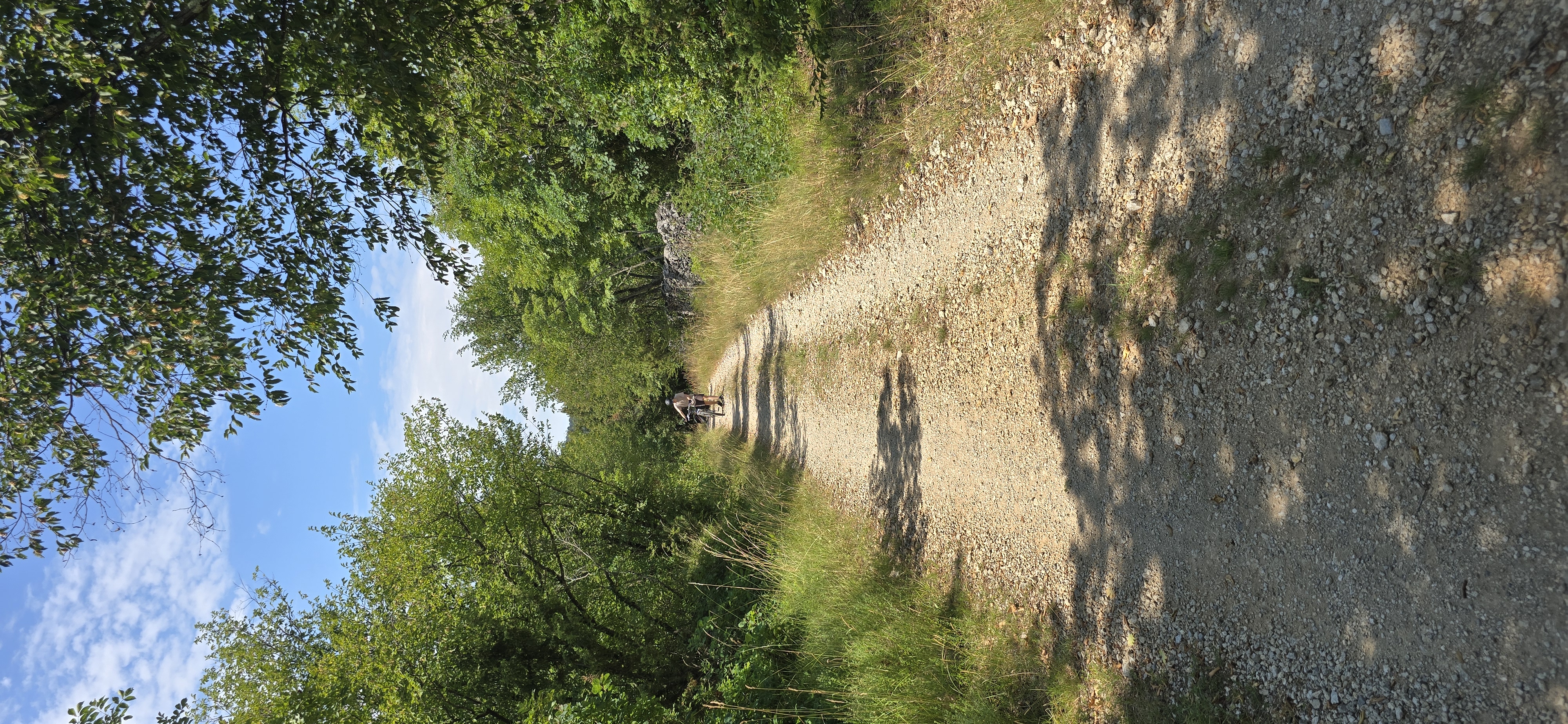 Viale Argine Moreri - Gregorčičev drevored