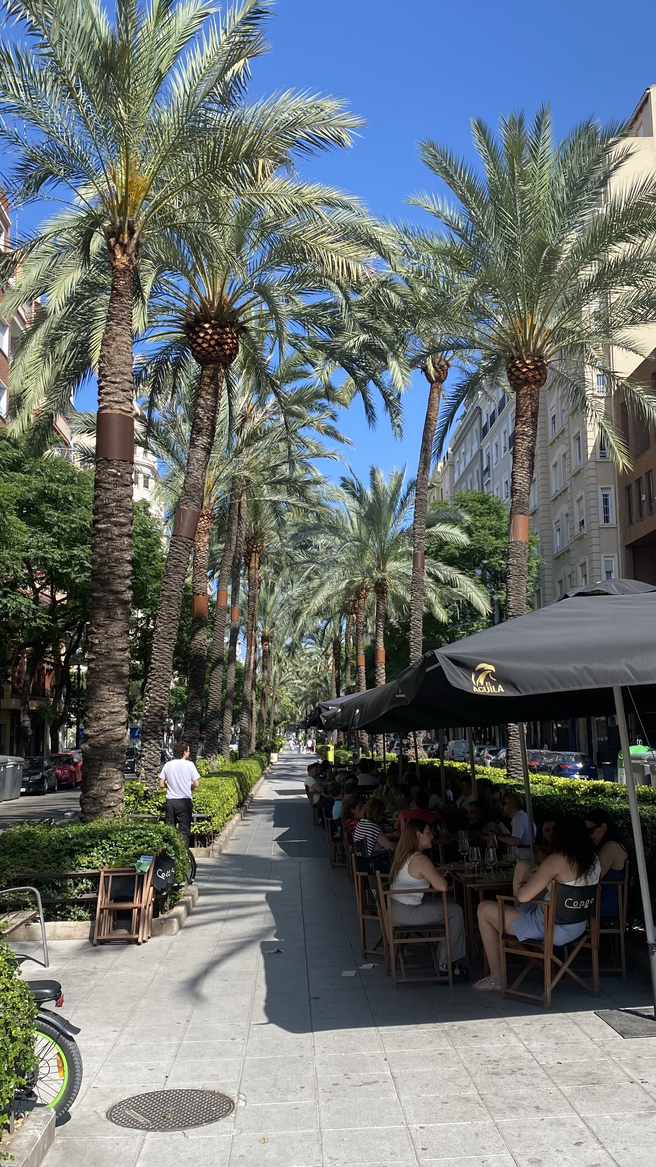 Plaça del Baró de Cortés, València nach Carrer de la Reina, València