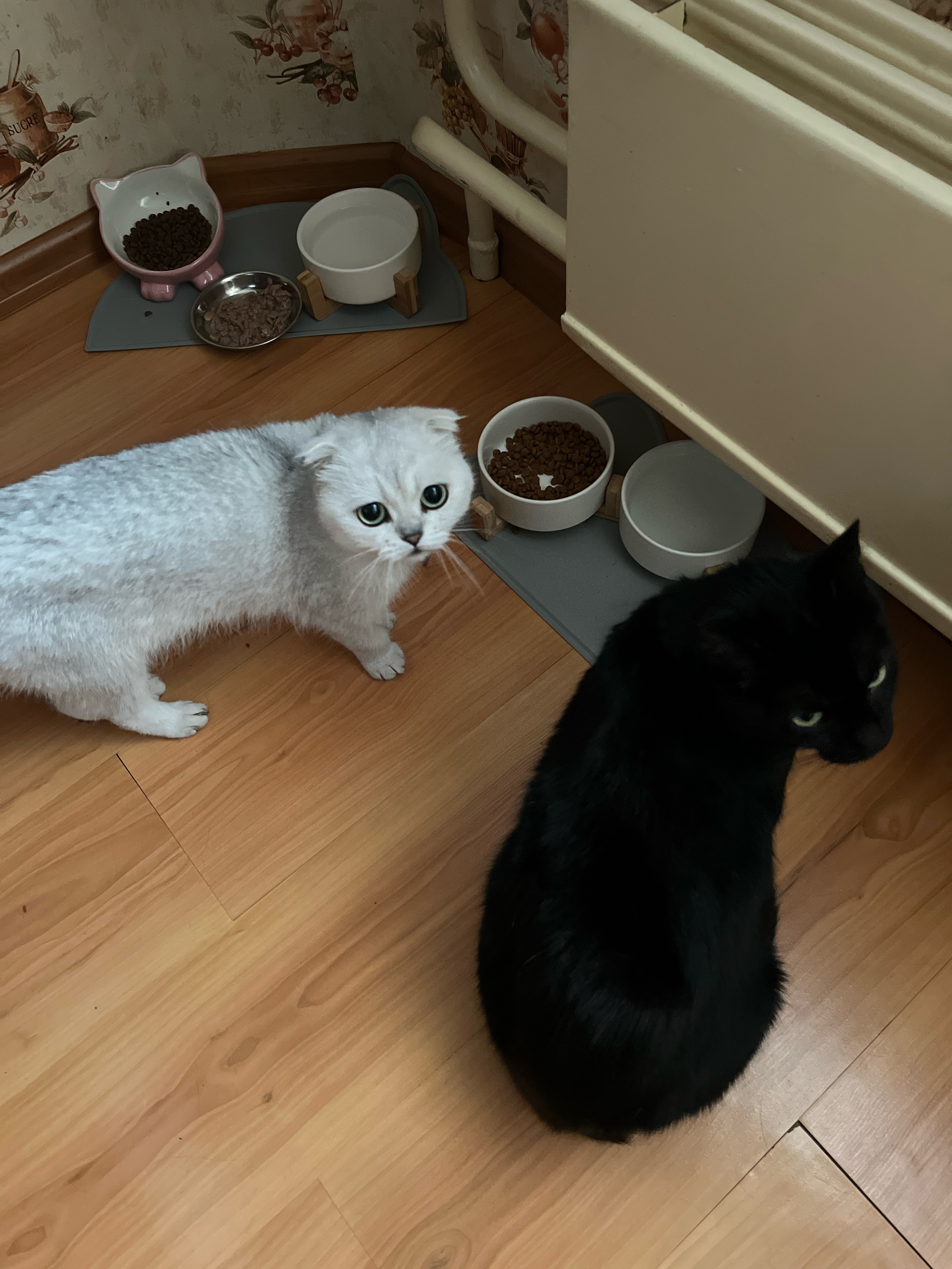 улица Михаила Миля, Минск до улица Михаила Миля, Минск