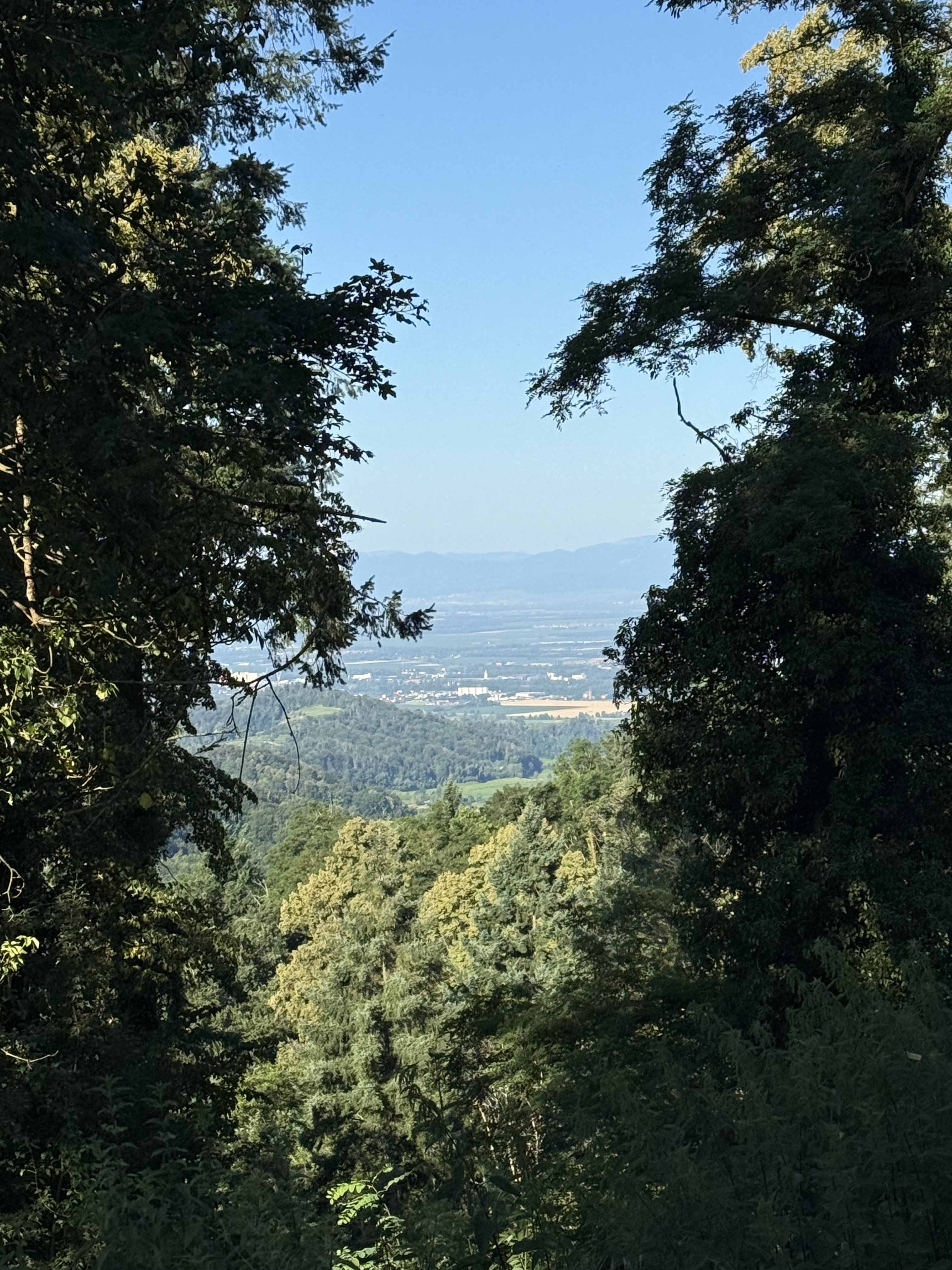 Photo 6 of the Bikemap route "Fohrenbergstraße, Ihringen nach Fohrenbergstraße, Ihringen" Photo 6 of the Bikemap route "Fohrenbergstraße, Ihringen nach Fohrenbergstraße, Ihringen"