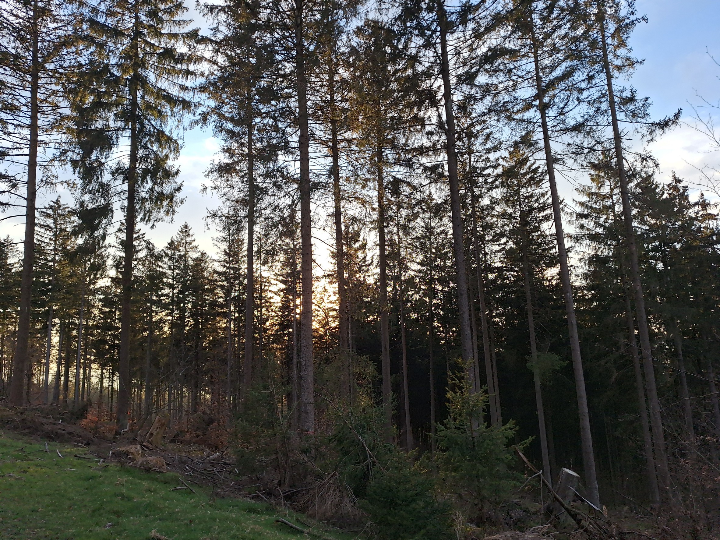 Wald Berg &amp; Tal ⛰️