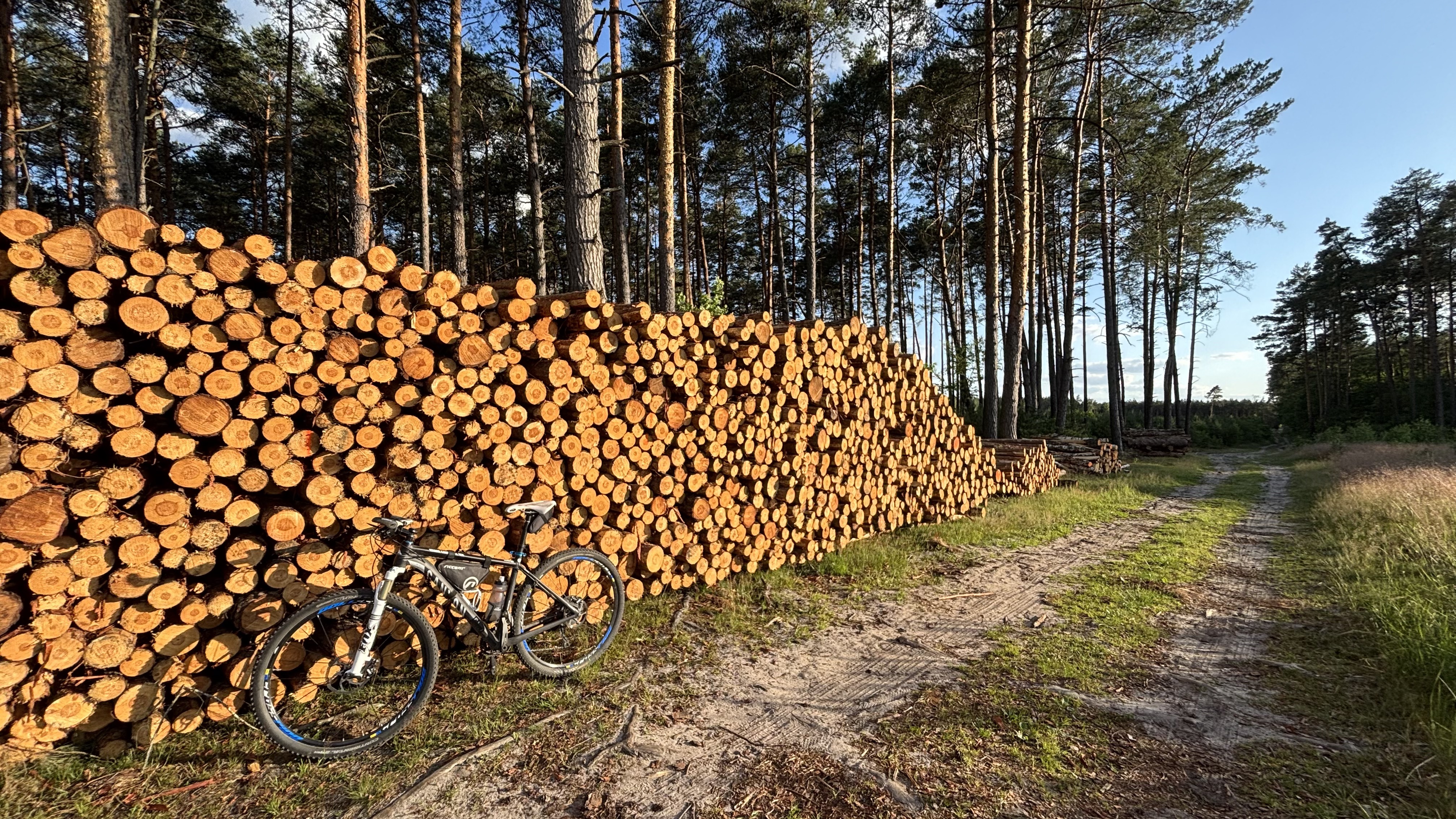 Foto 8 der Bikemap-Route "Króla J Sobieskiego, Puszcza Mariańska do Króla J Sobieskiego, Puszcza Mariańska"