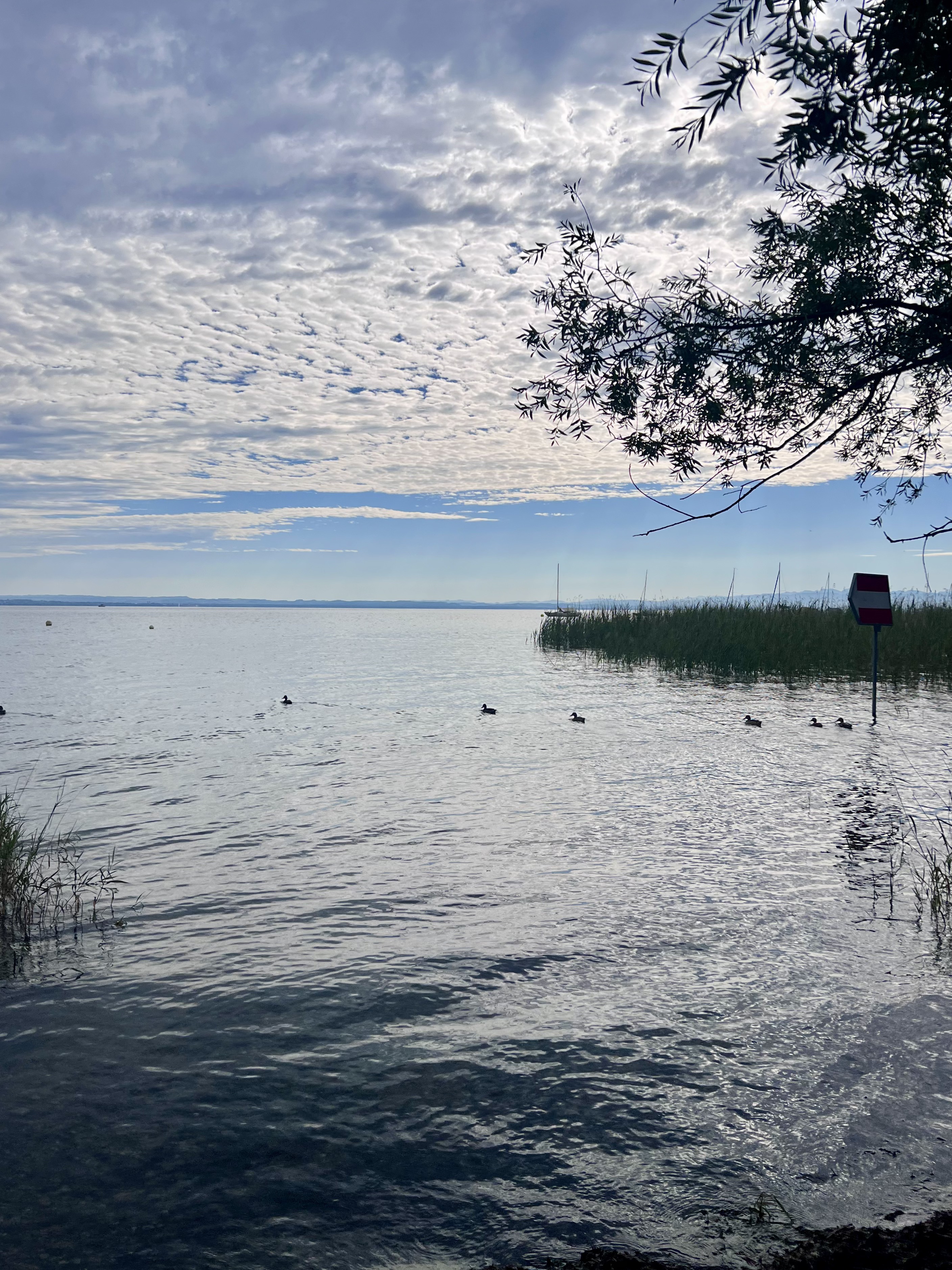 Seestrasse, Arbon à Fritz-Arnold-Straße, Constance