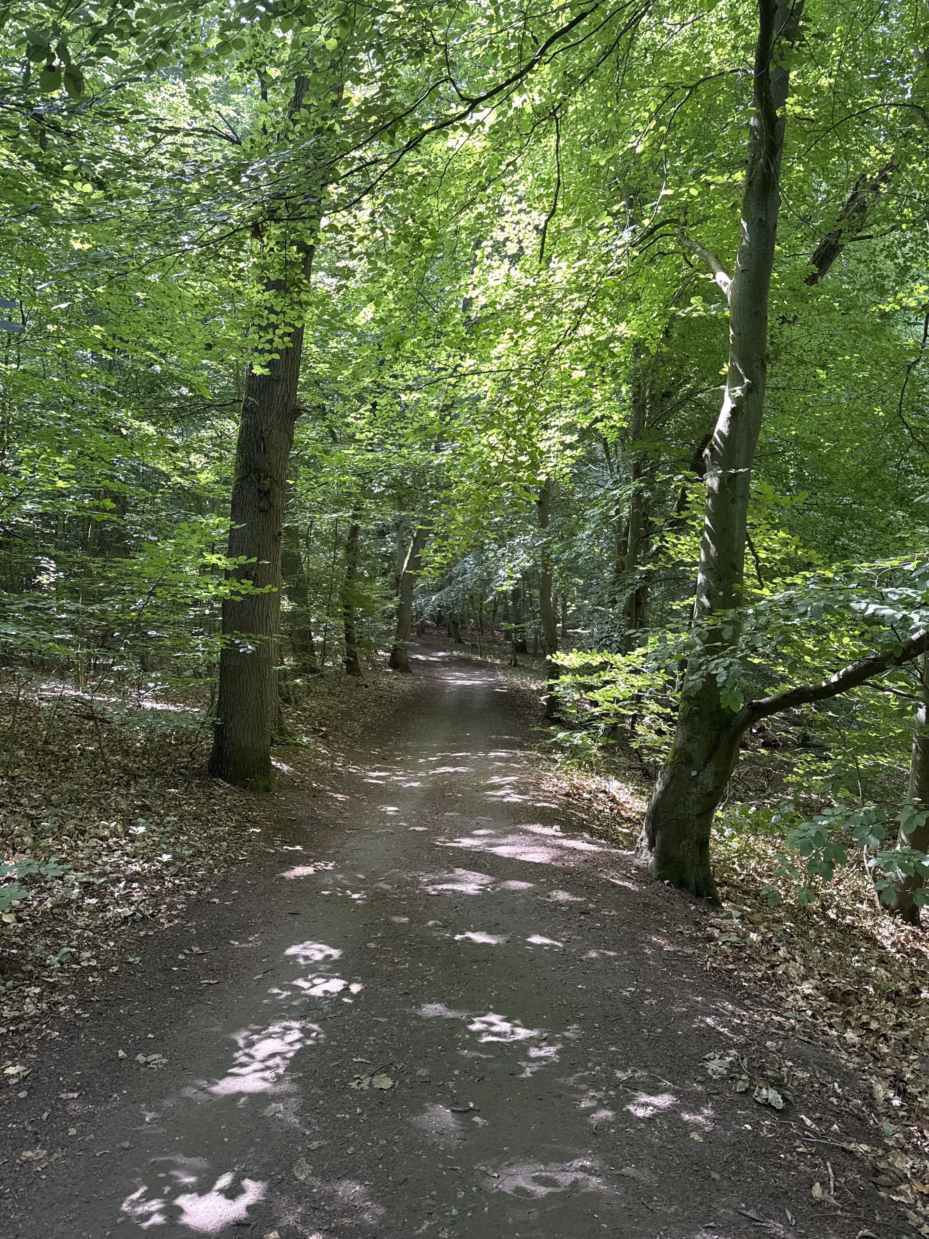 Schloßstraße, Klink nach Schloßstraße, Klink