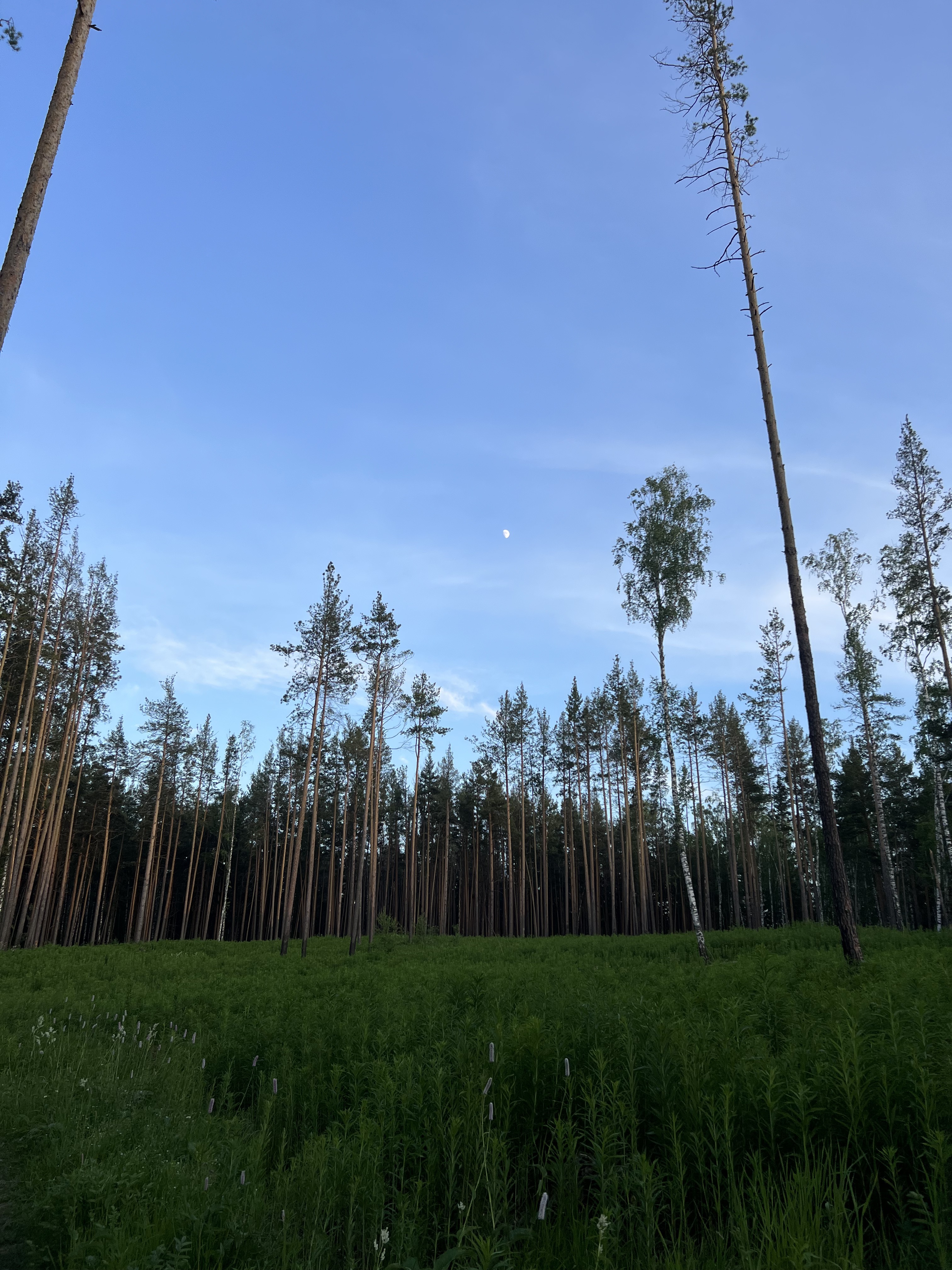 улица Вернадского, Миасс до улица Вернадского, Миасс