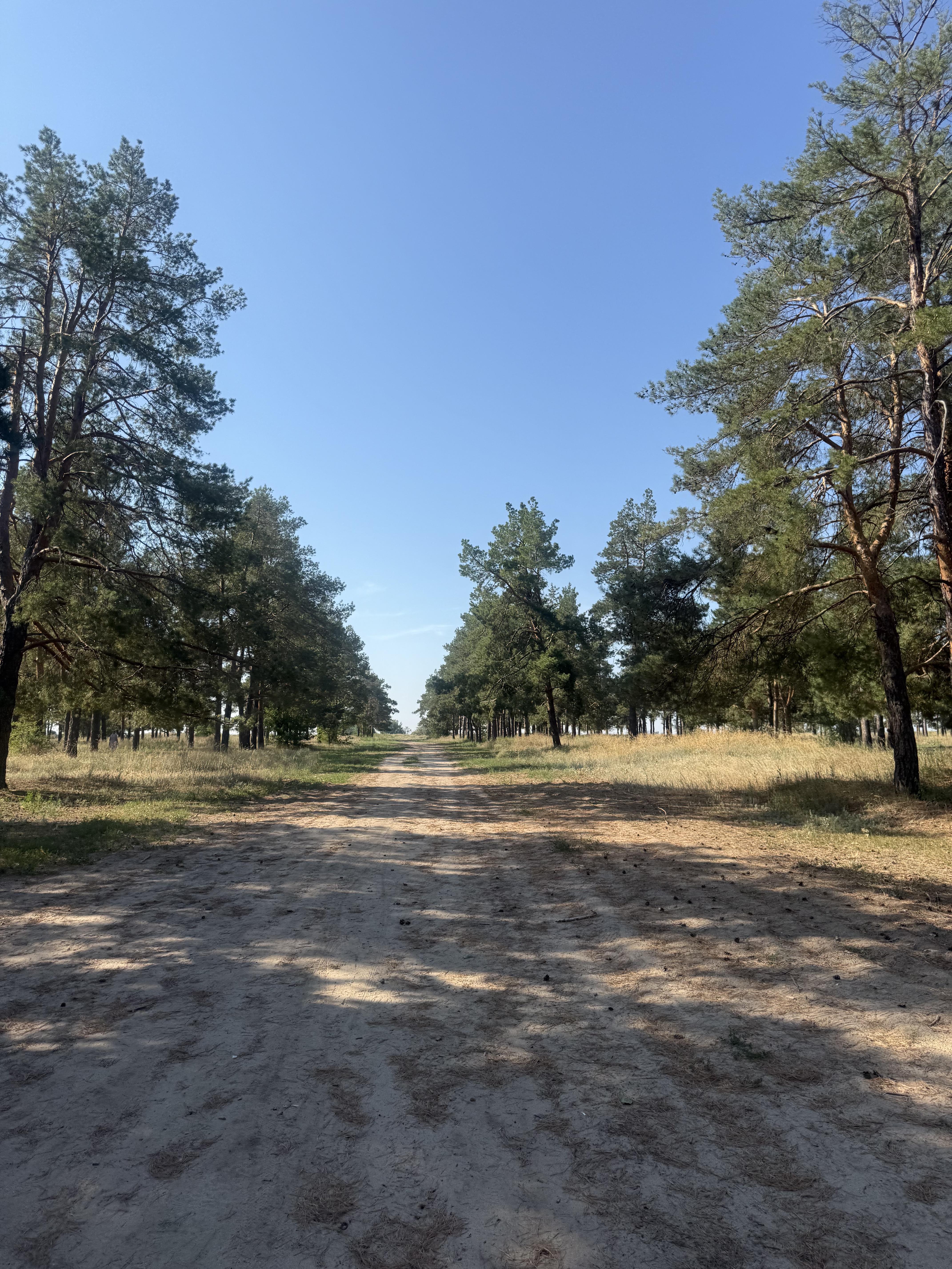 Photo 6 de l’itinéraire Bikemap « улица Маршала Воронова, Волгоград до улица Маршала Воронова, Волгоград » Photo 6 de l’itinéraire Bikemap « улица Маршала Воронова, Волгоград до улица Маршала Воронова, Волгоград »