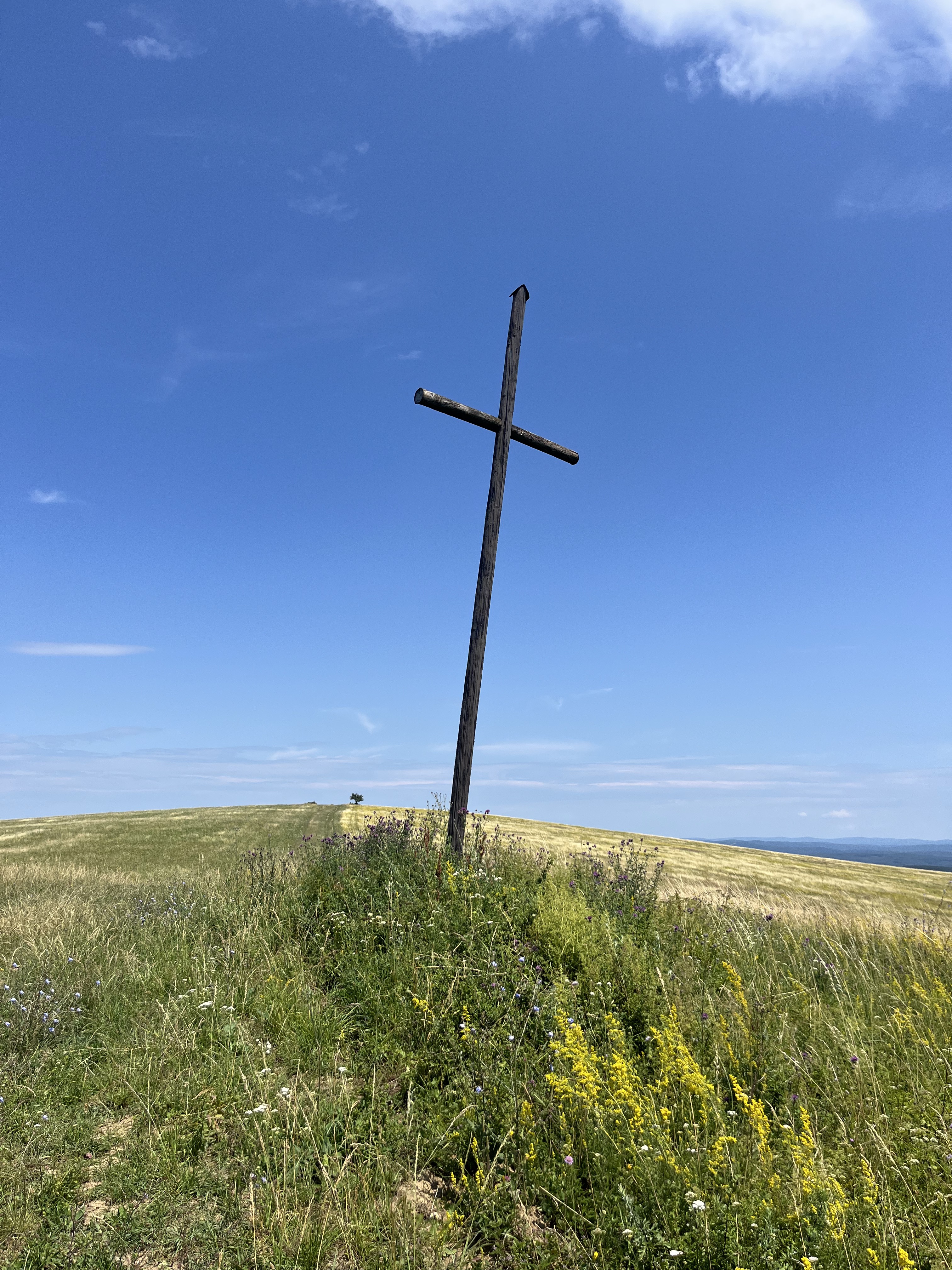 Jarková, Vranov nad Topľou až Herlianska, Vranov nad Topľou