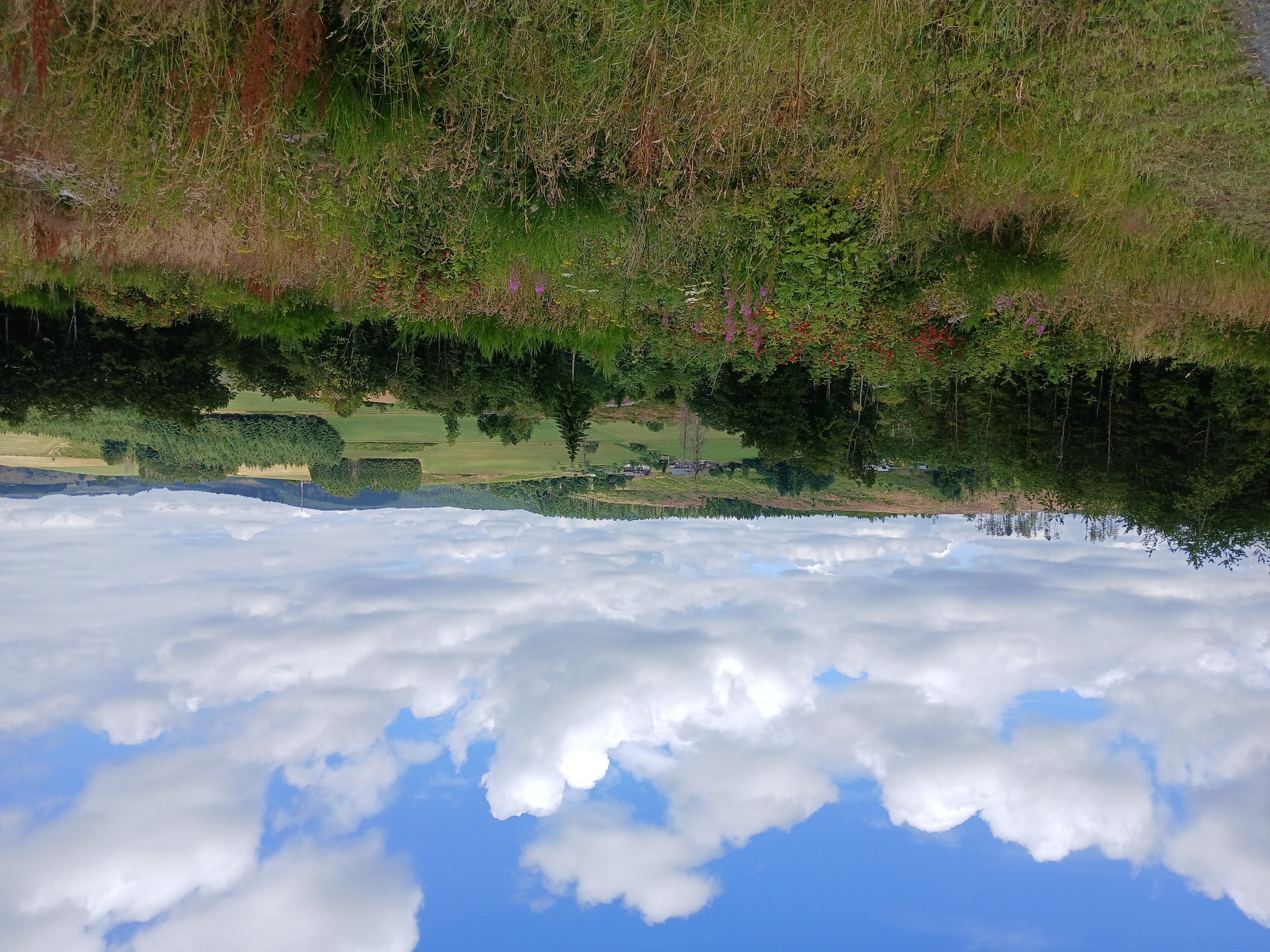 Foto 3 der Bikemap-Route "10.07.25 Berleburg, Latzbruch, Petersgrund, AmSohl, Dambach, BLB 10.07.25" Foto 3 der Bikemap-Route "10.07.25 Berleburg, Latzbruch, Petersgrund, AmSohl, Dambach, BLB 10.07.25"