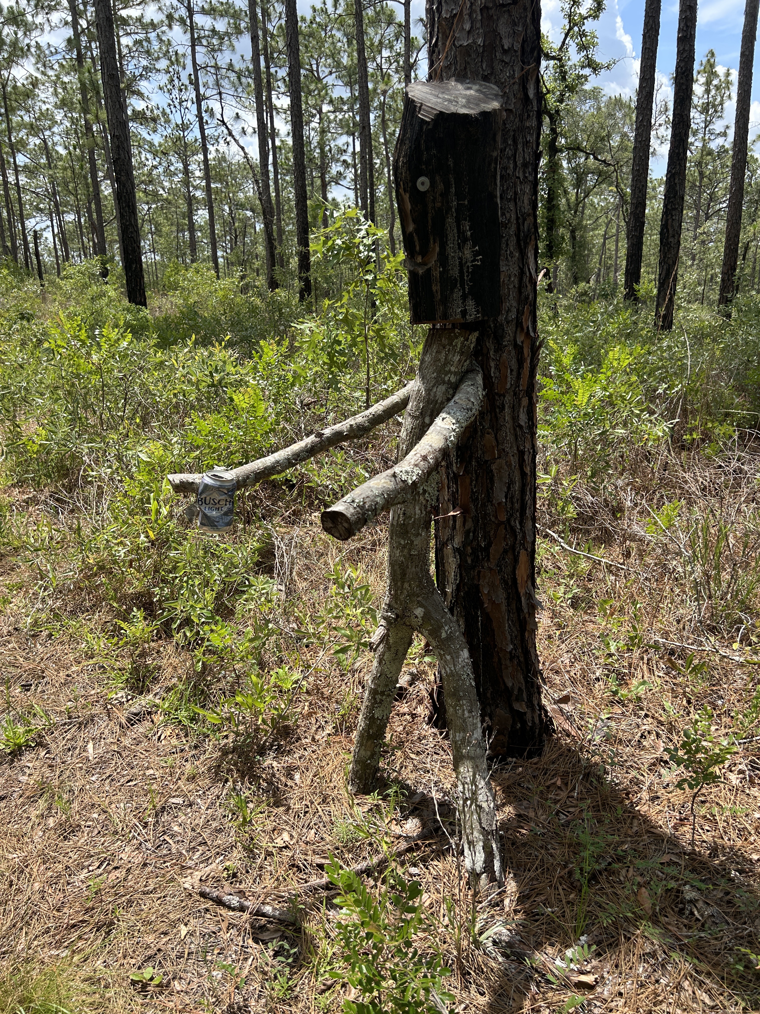 Croom Rital Rd, Brooksville to Croom Rital Rd, Brooksville