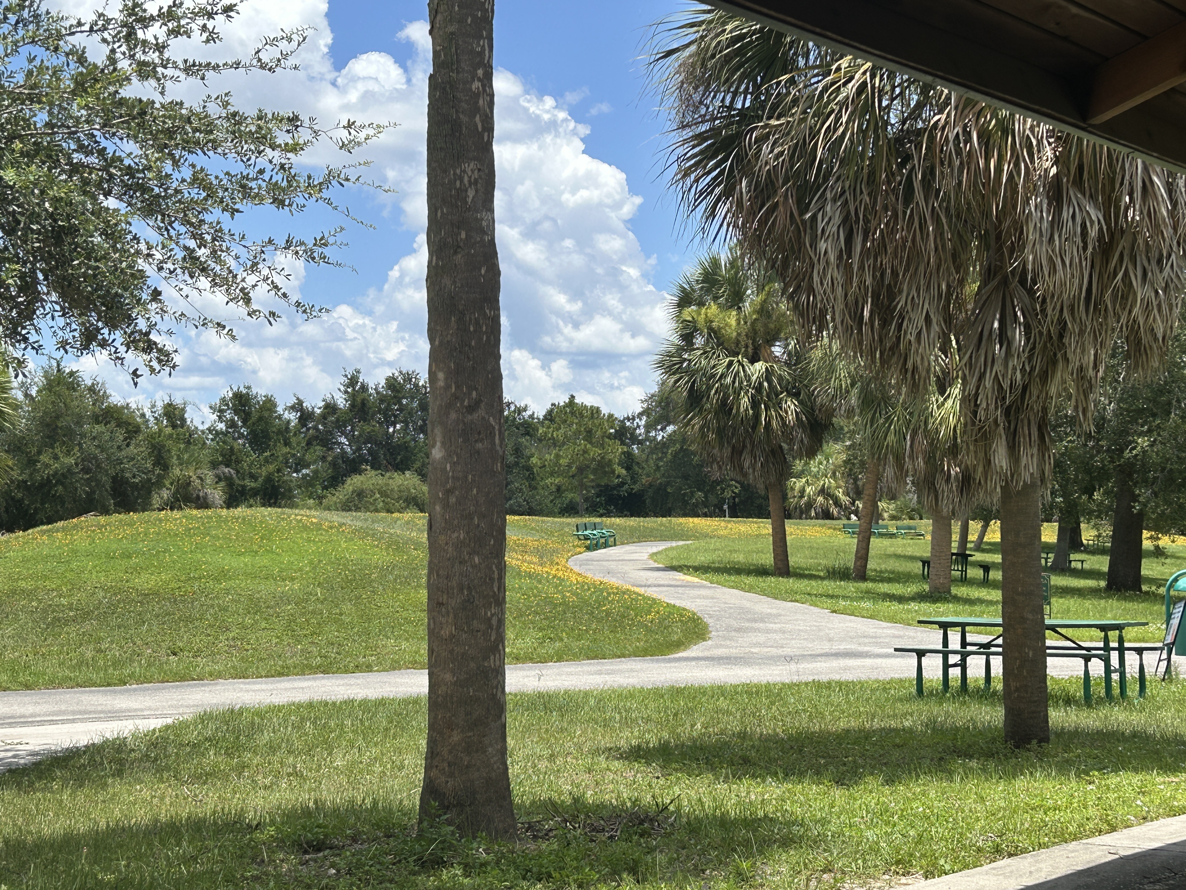 Gunn Hwy, Tampa to Edmonton Dr, Land O Lakes