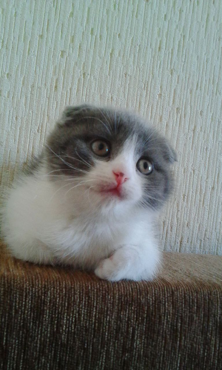 Медленная езда