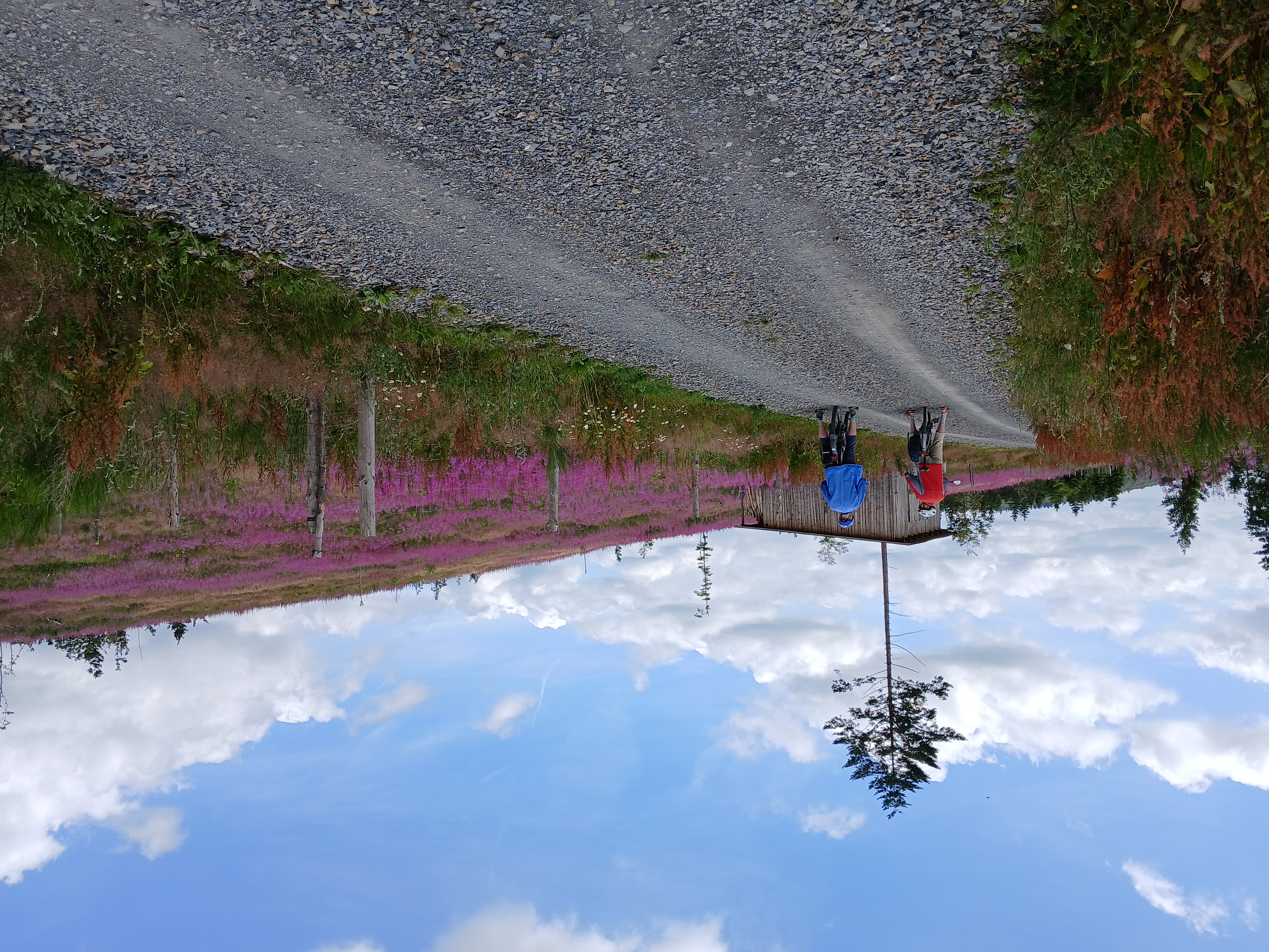 Foto 5 der Bikemap-Route "10.07.25 Berleburg, Latzbruch, Petersgrund, AmSohl, Dambach, BLB 10.07.25" Foto 5 der Bikemap-Route "10.07.25 Berleburg, Latzbruch, Petersgrund, AmSohl, Dambach, BLB 10.07.25"