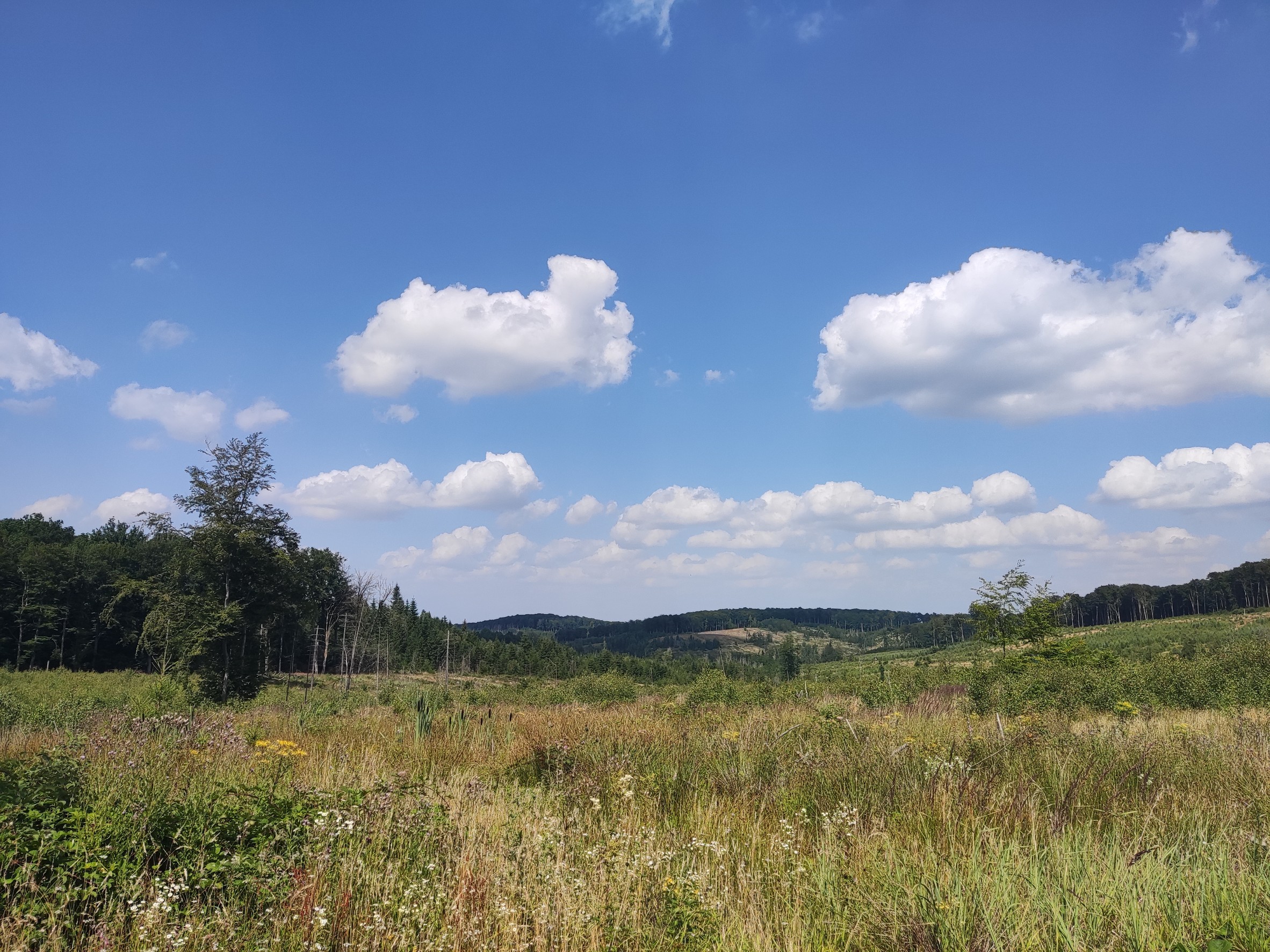 MTB-Tour Oeventrop, Uentrop, Gut Wichel, Schreppenberg, Breitenbruch, Möhnesee, Tor Haus, Neuhaus, Uebtroper Höhe, Plackweg, Herfweg, Oeventrop.