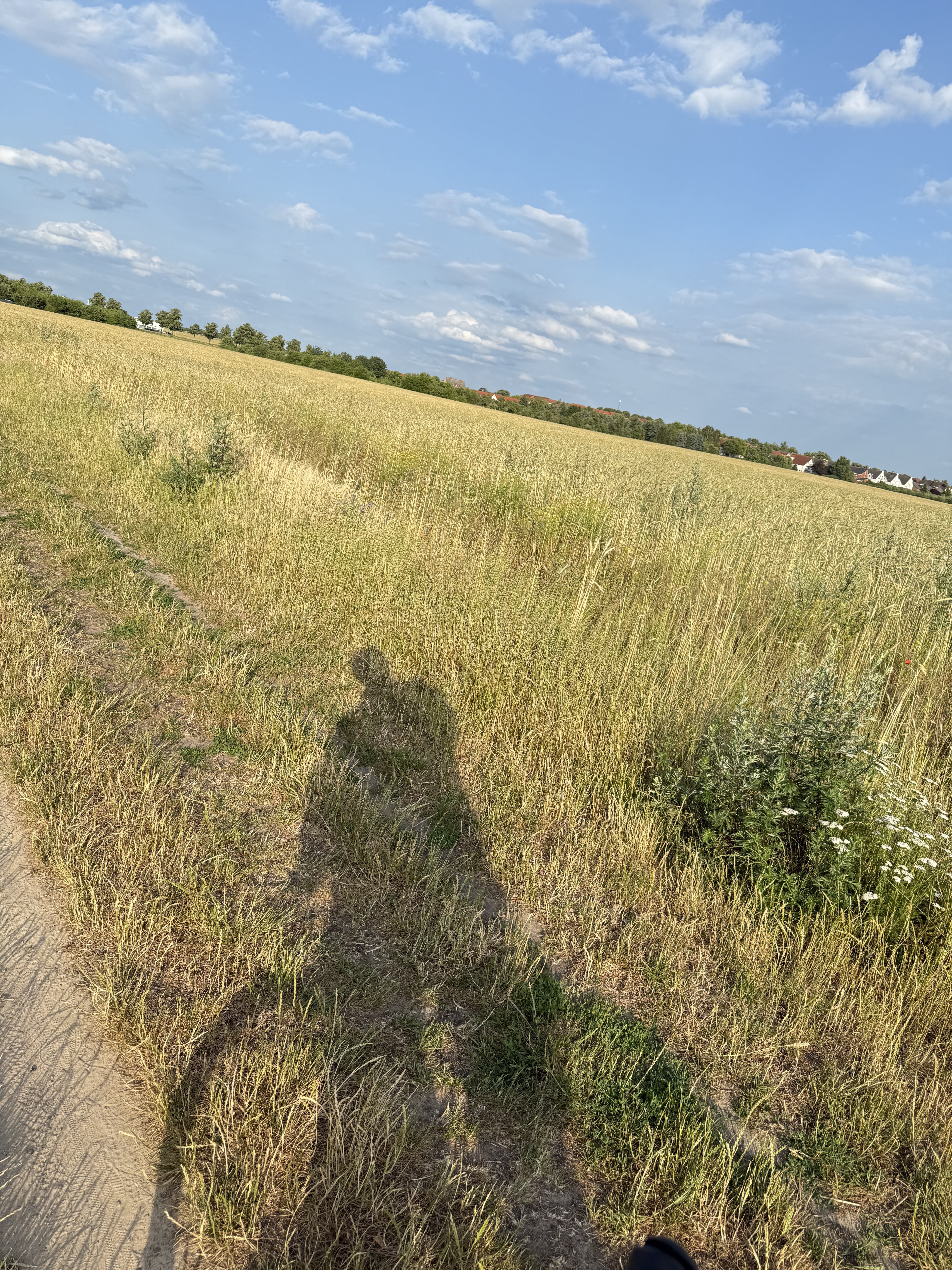 Spirdingseestraße, Berlin nach Spirdingseestraße, Berlin