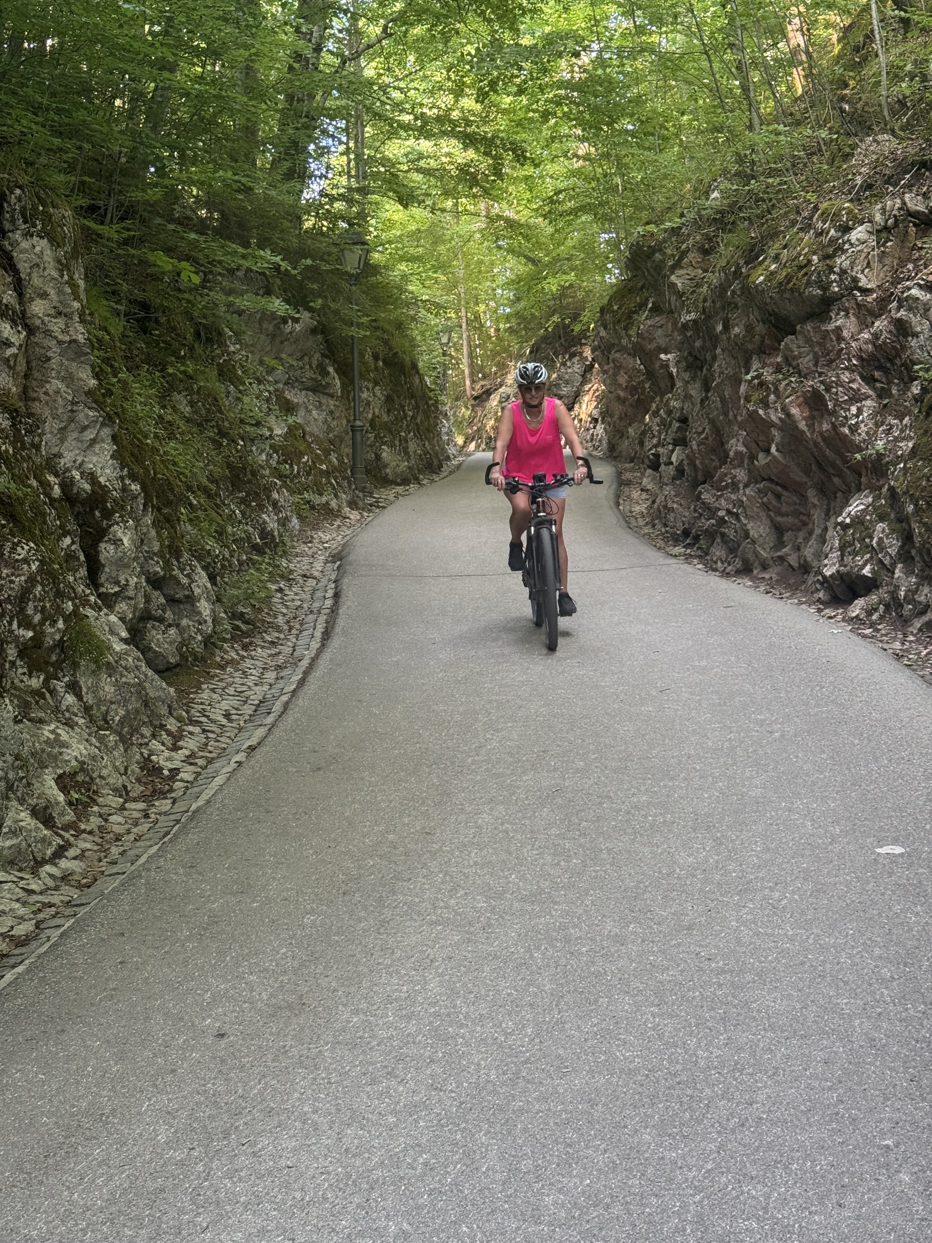 Photo 7 of the Bikemap route "47.556, 10.735 nach 47.551, 10.713"