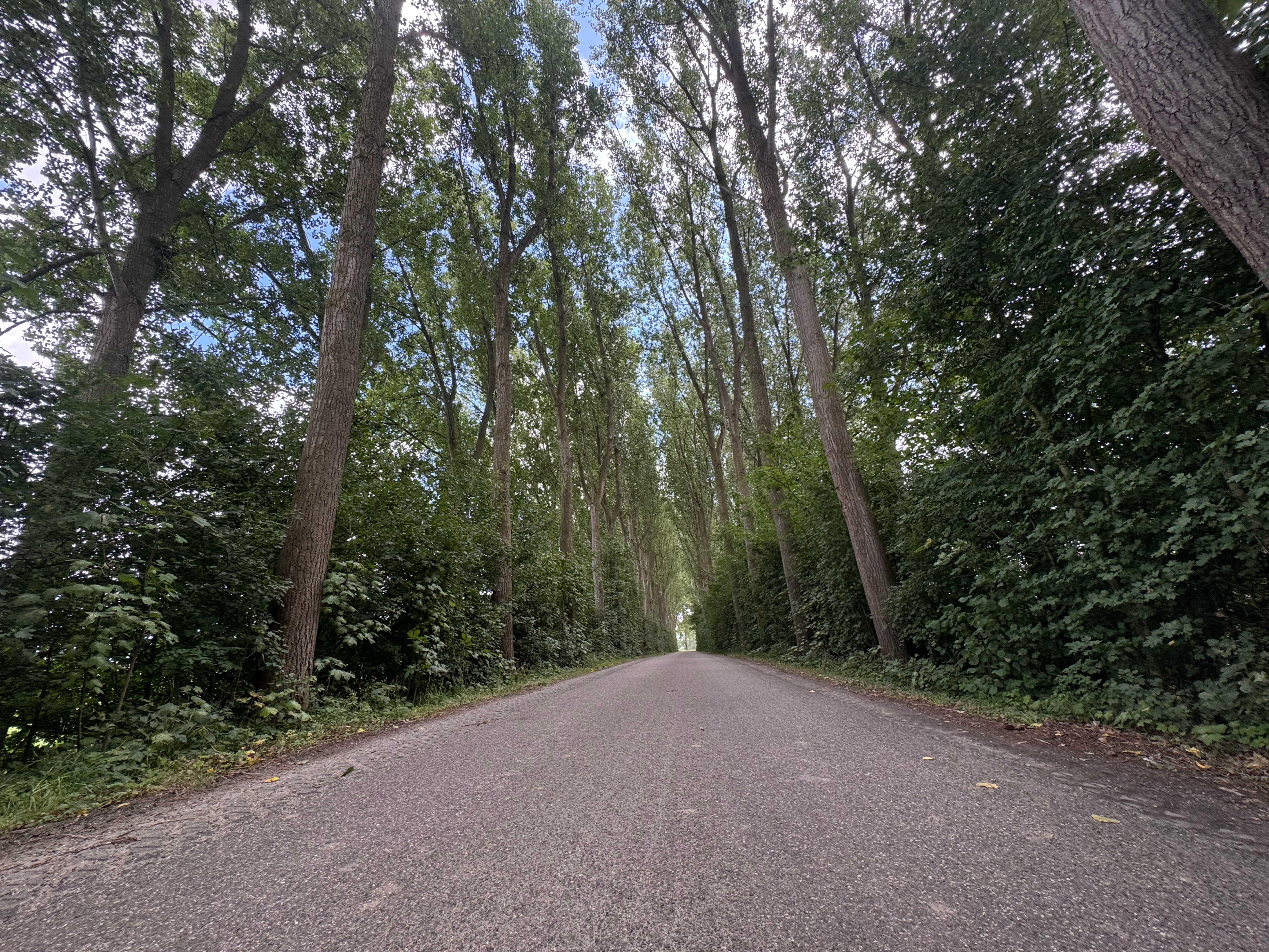 Walstraat, Axel nach Hengstdijk