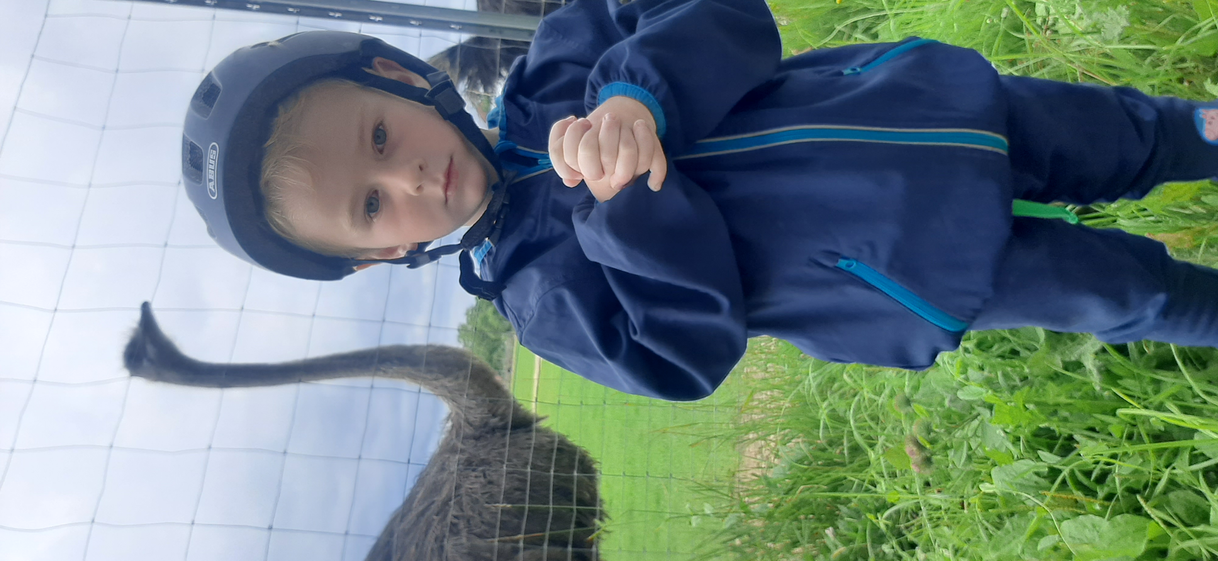 Zdjęcie 2 trasy Bikemap „stadlhof, Vogel Strauß und retour” Zdjęcie 2 trasy Bikemap „stadlhof, Vogel Strauß und retour”