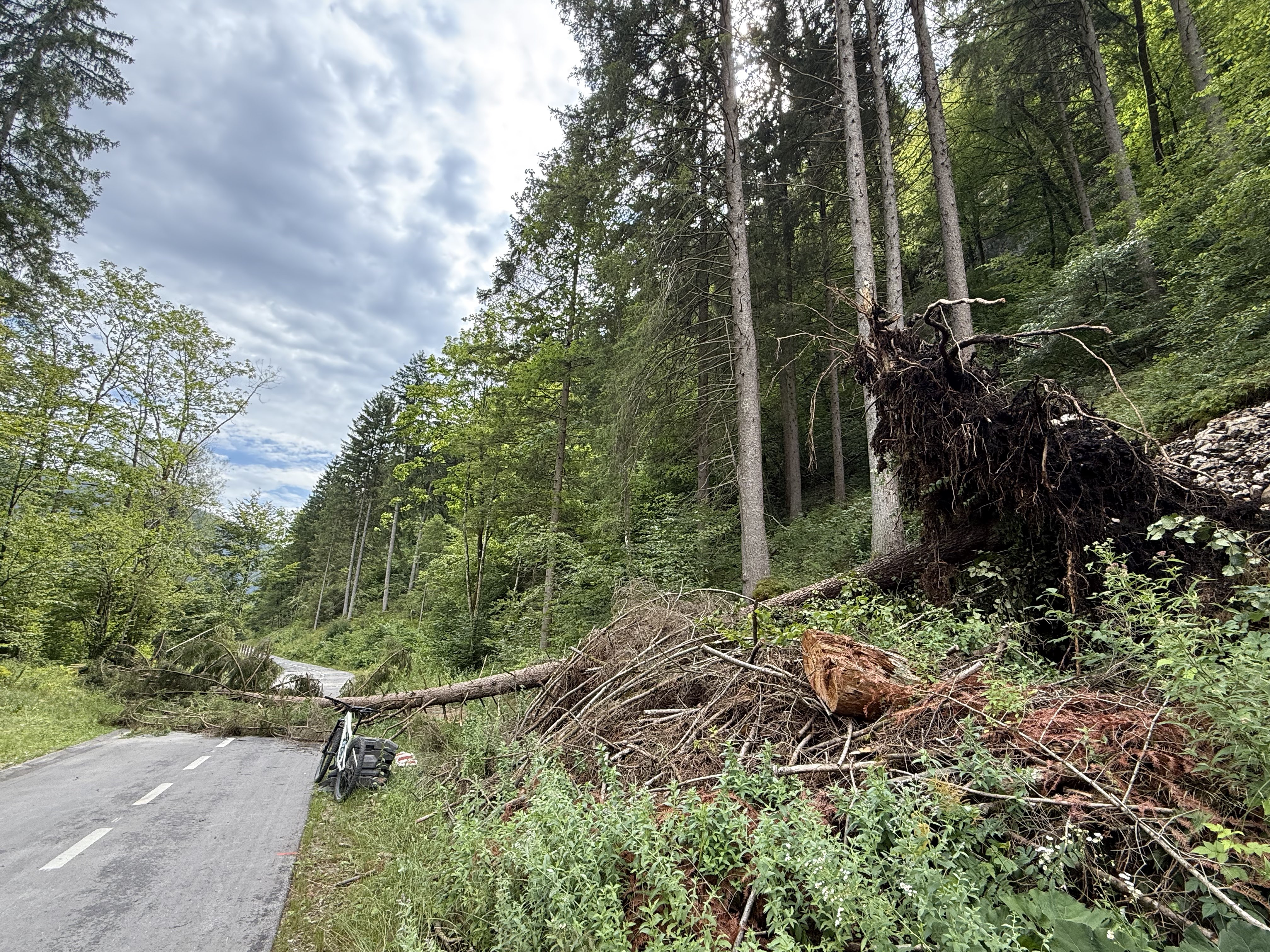 Snail-like route in Bohinjska Bistrica