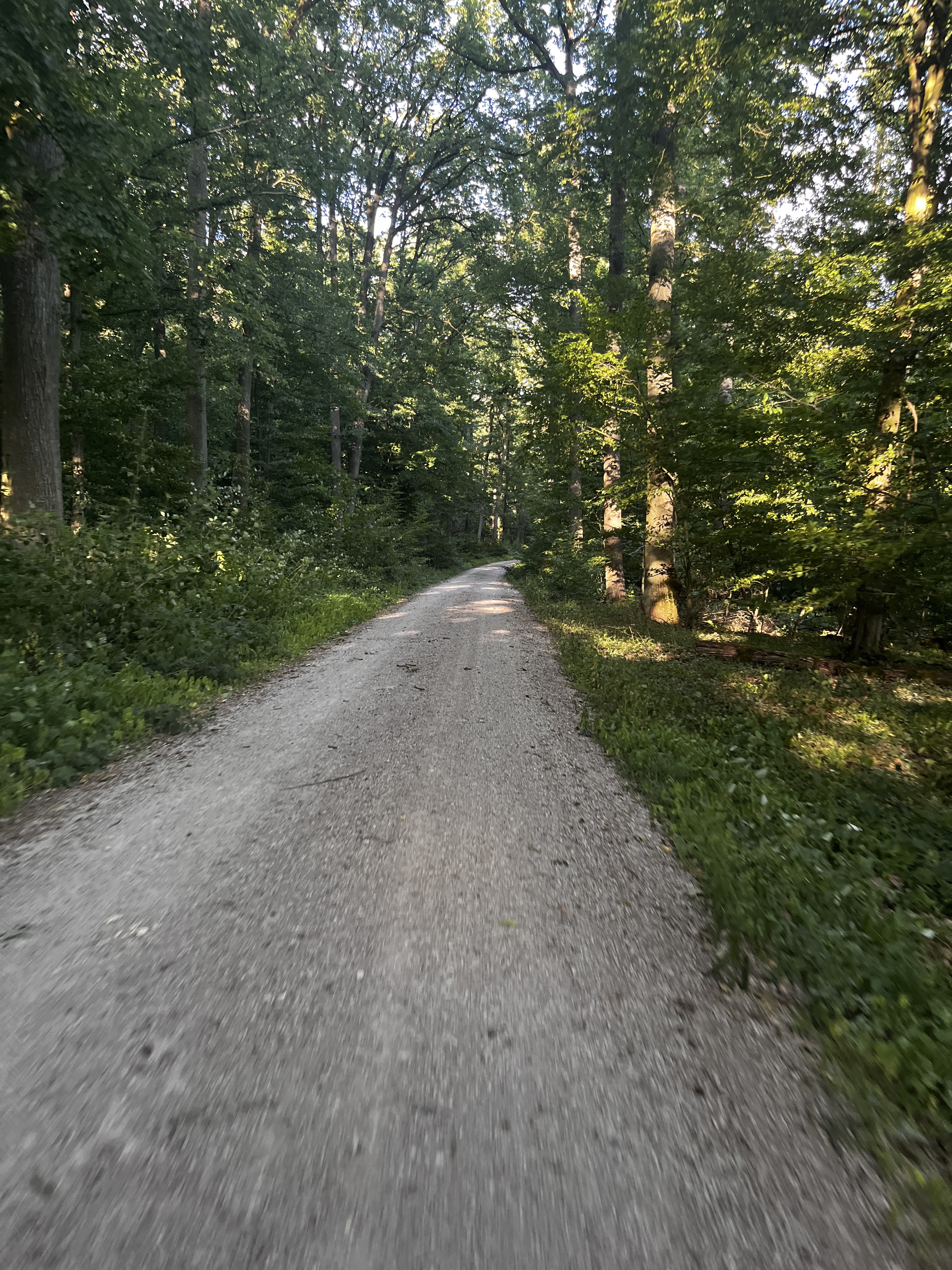 Frensdorf nach In der Huth, Frensdorf