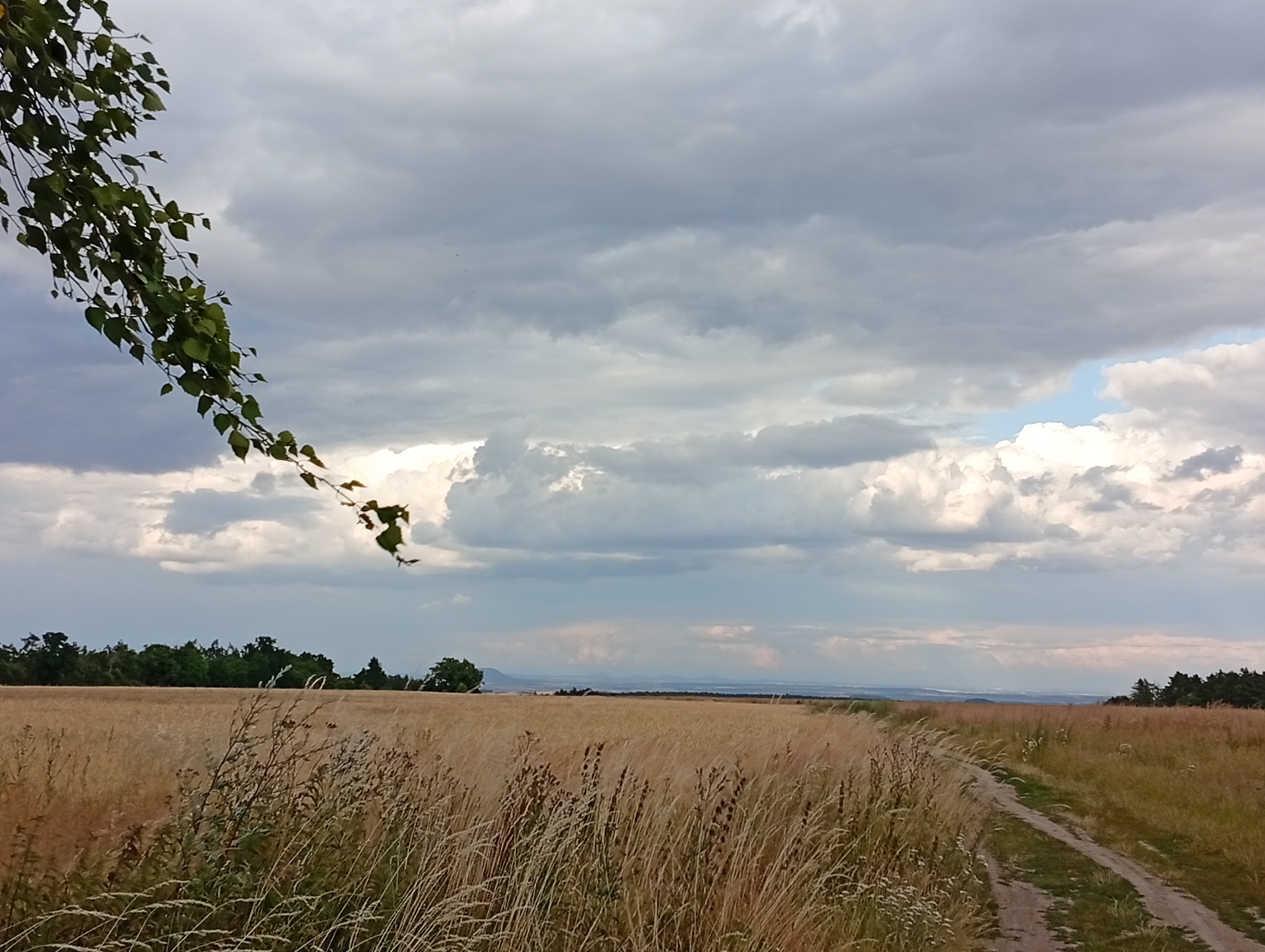 Mšec do Mšec