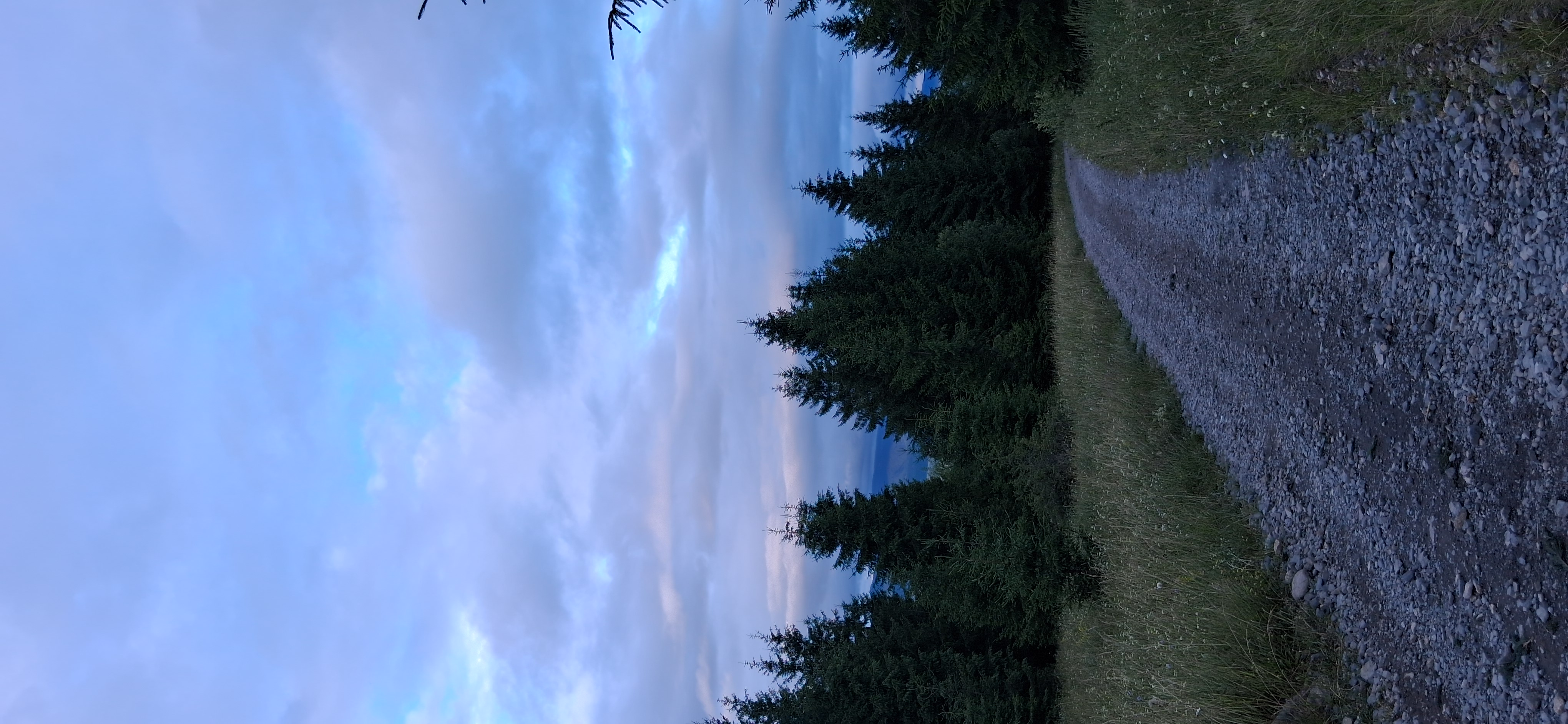 Route from Str. Călimani