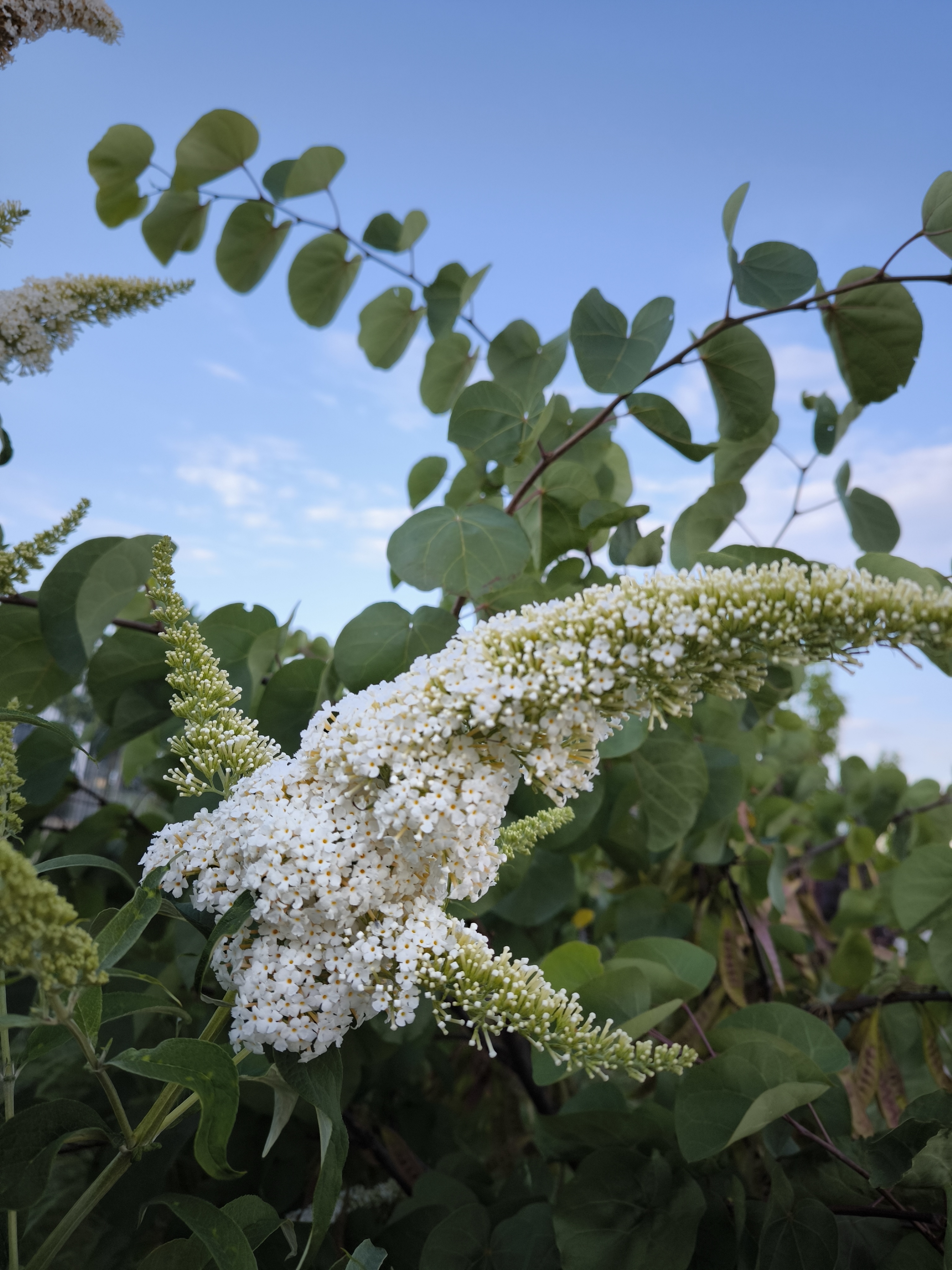 Wittekindsweg nach Wittekindsweg 12B