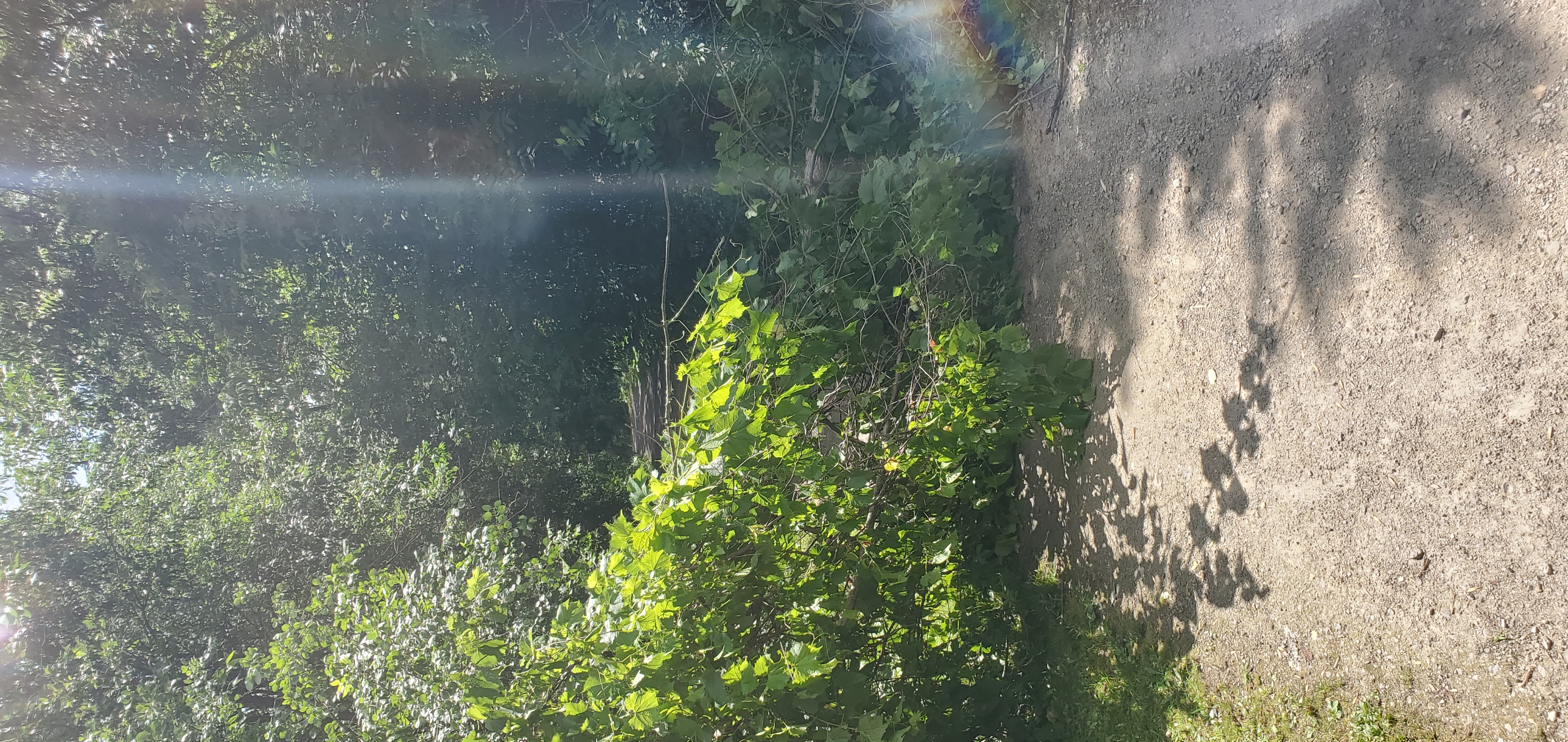 Montmorency Drive to Montmorency Drive