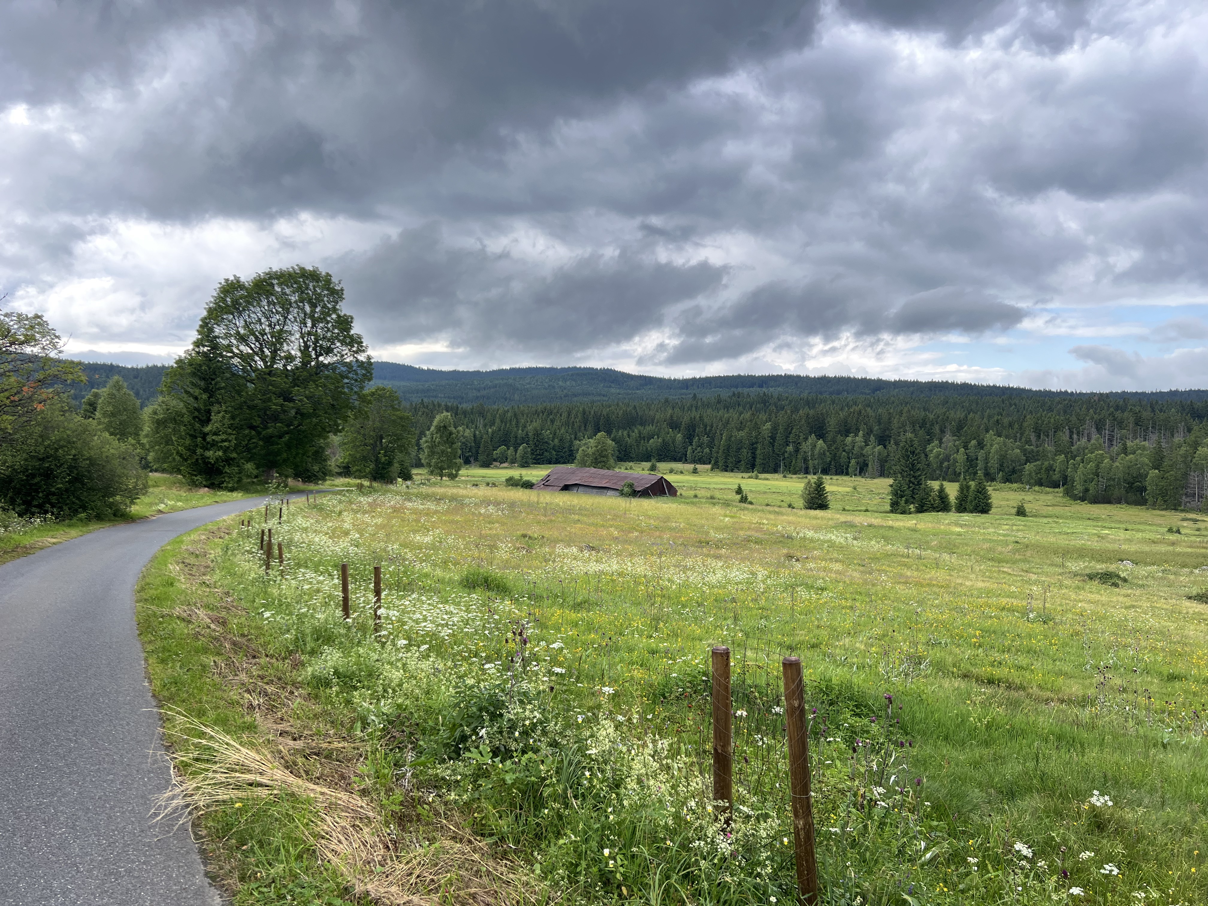 18.7. Kasperske h.-Renstejn-Srni-Modrava-Antygl-Kvilda-Horni Vltavice 58,7km-4:15hod-13.8km/hod-55.7max