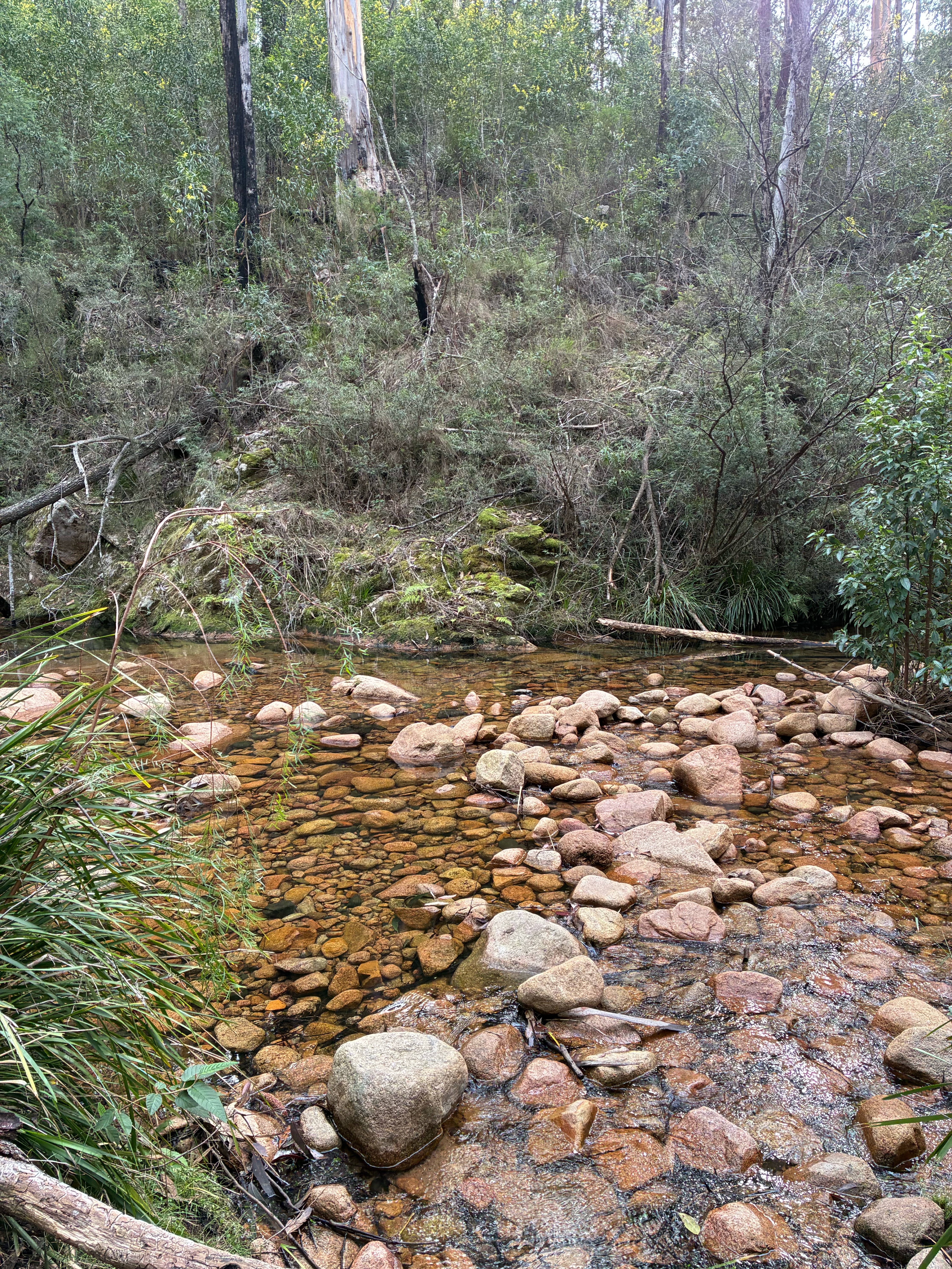 Tarraganda La, Tarraganda to High St, Bega