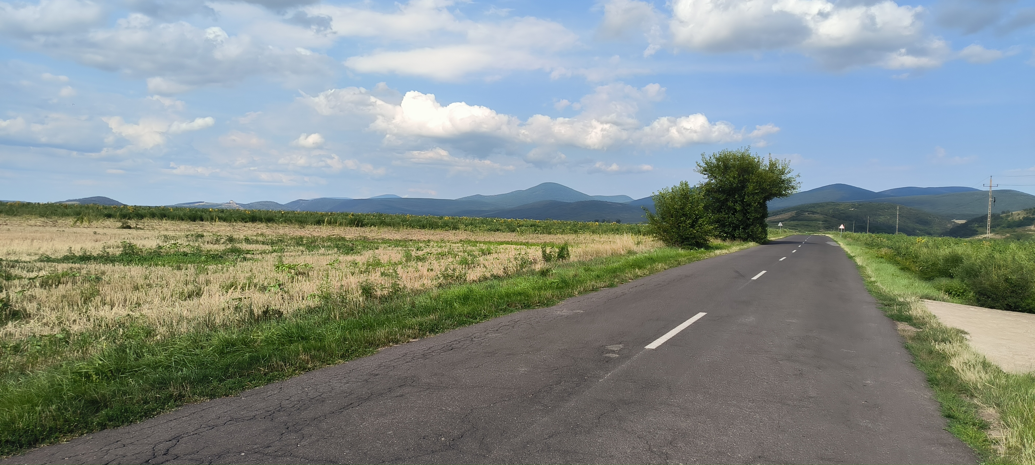 Nyárfa utca - Nyárfa utca