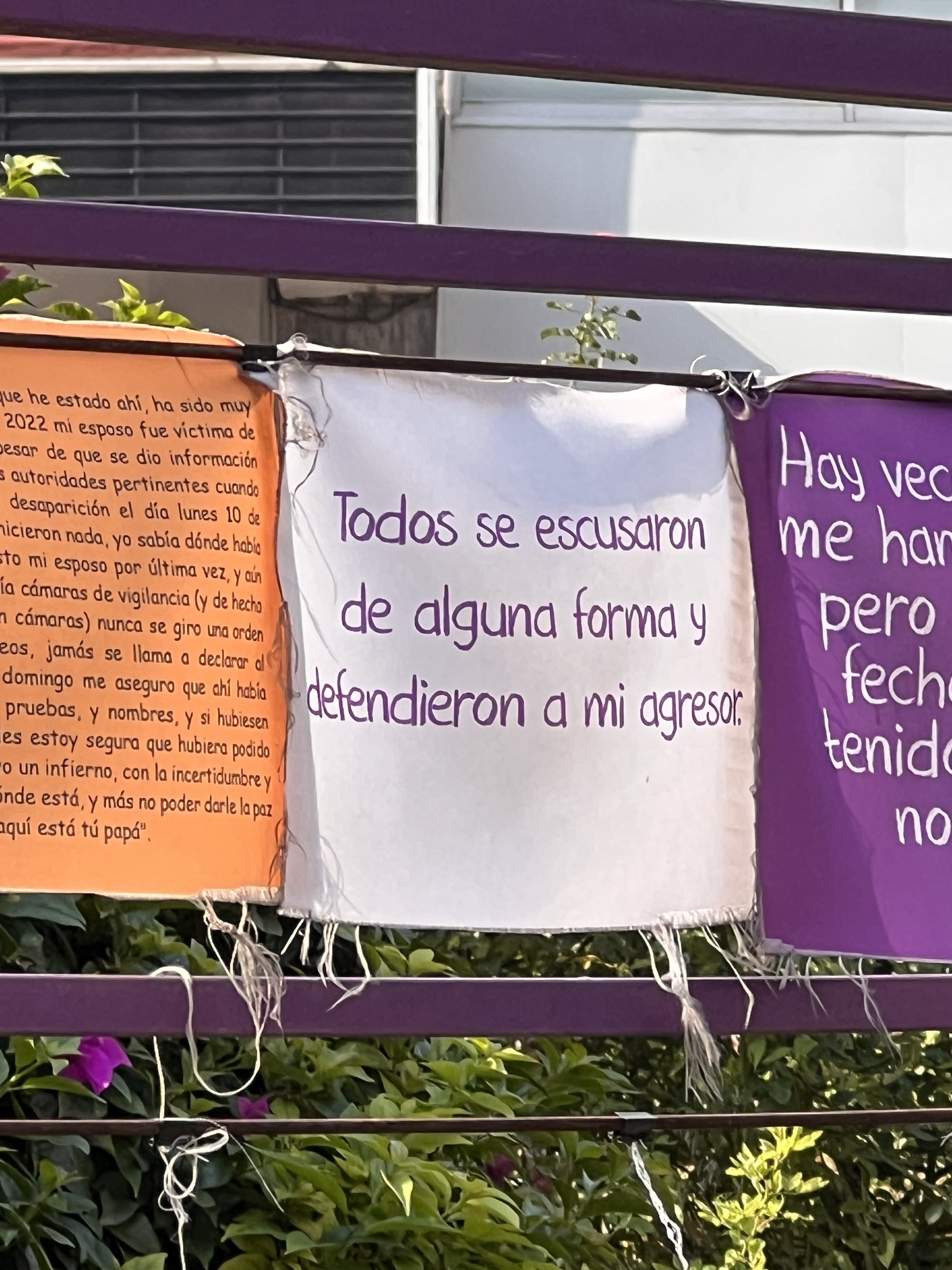 mi primer rodada
