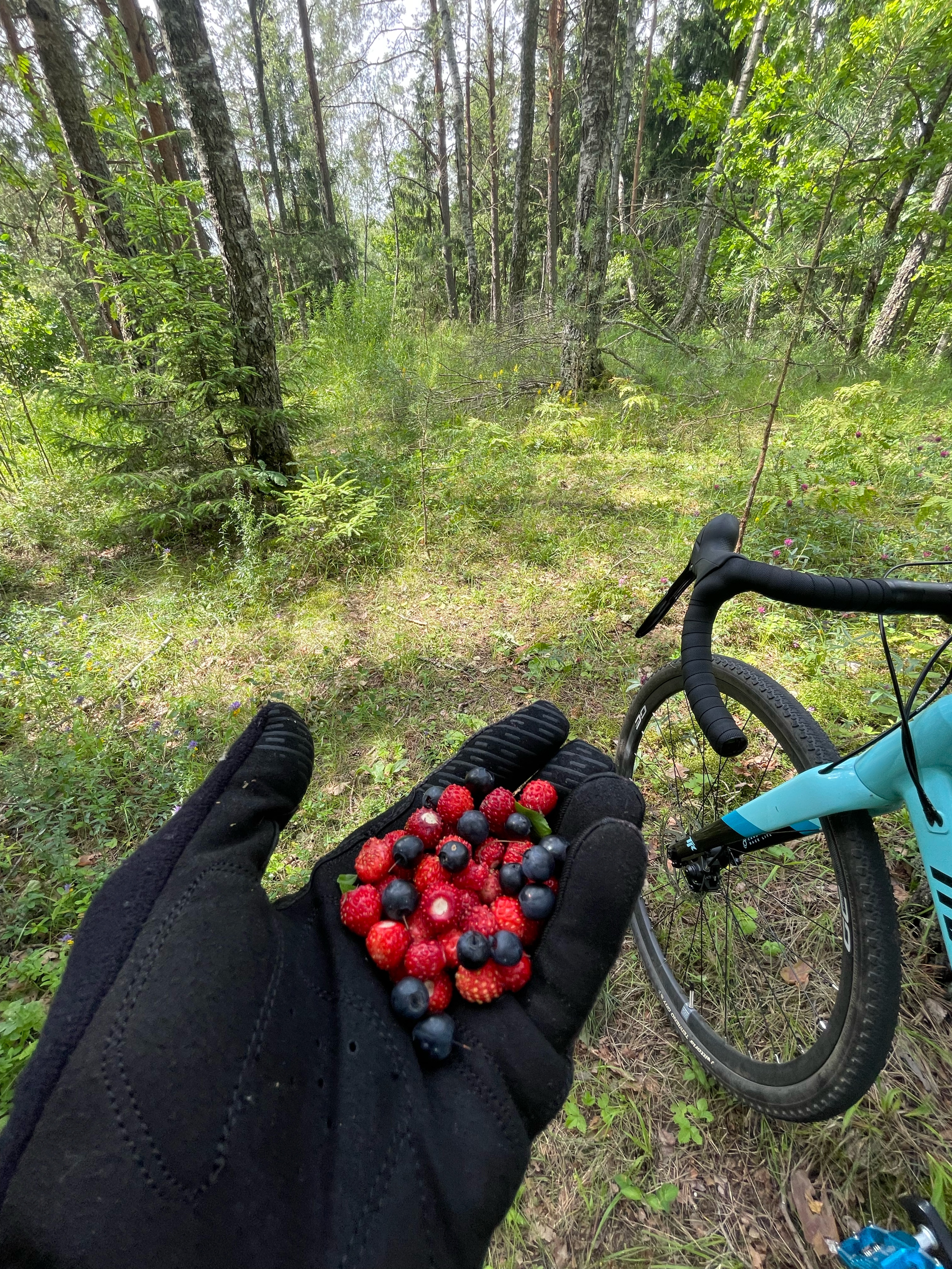 Foto 2 der Bikemap-Route "Центральный, Минск до Речная улица, Заславль" Foto 2 der Bikemap-Route "Центральный, Минск до Речная улица, Заславль"