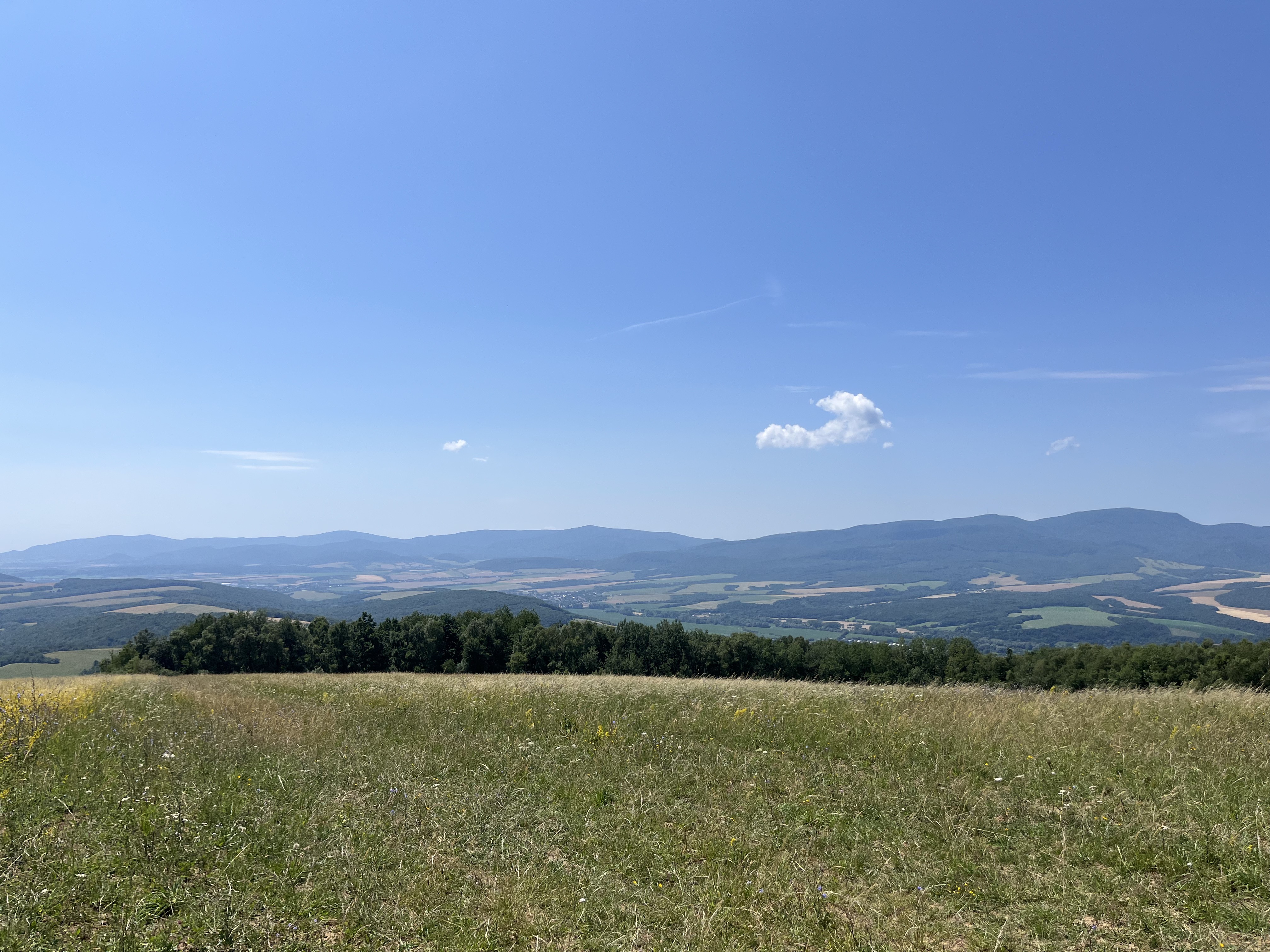 Jarková, Vranov nad Topľou až Herlianska, Vranov nad Topľou