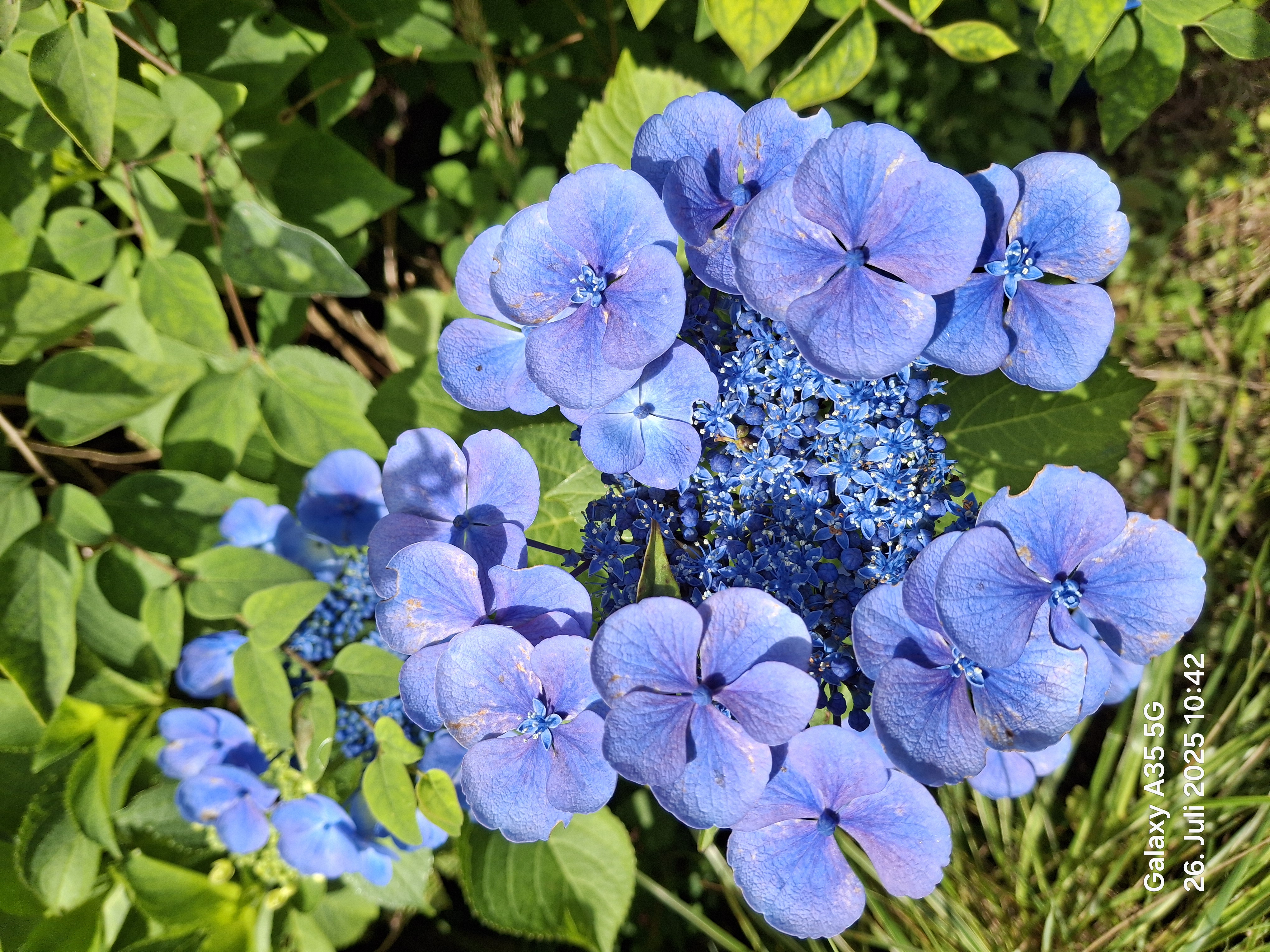 König-Heinrich-Weg nach König-Heinrich-Weg