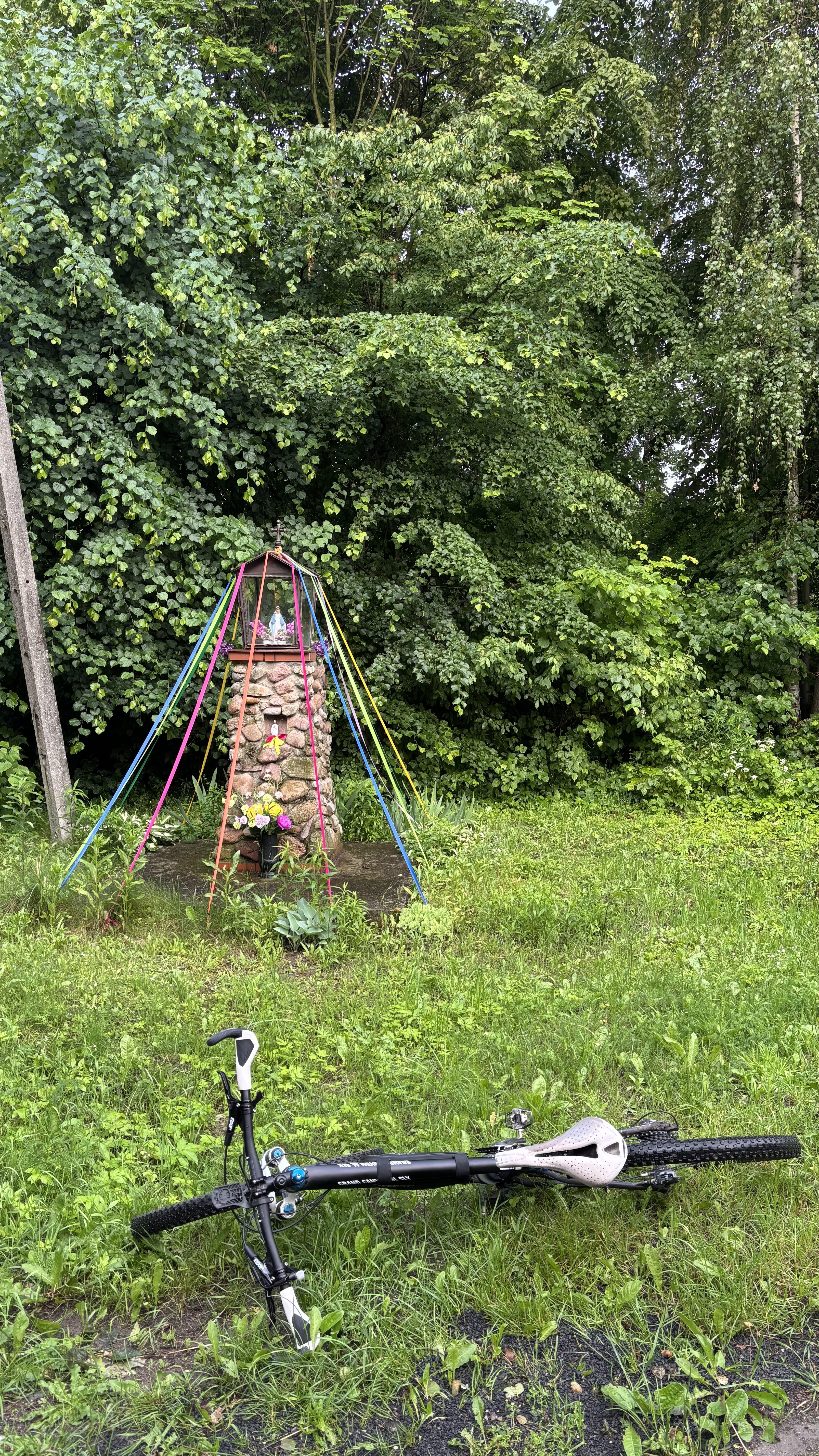 Króla J Sobieskiego, Puszcza Mariańska do Króla J Sobieskiego, Puszcza Mariańska