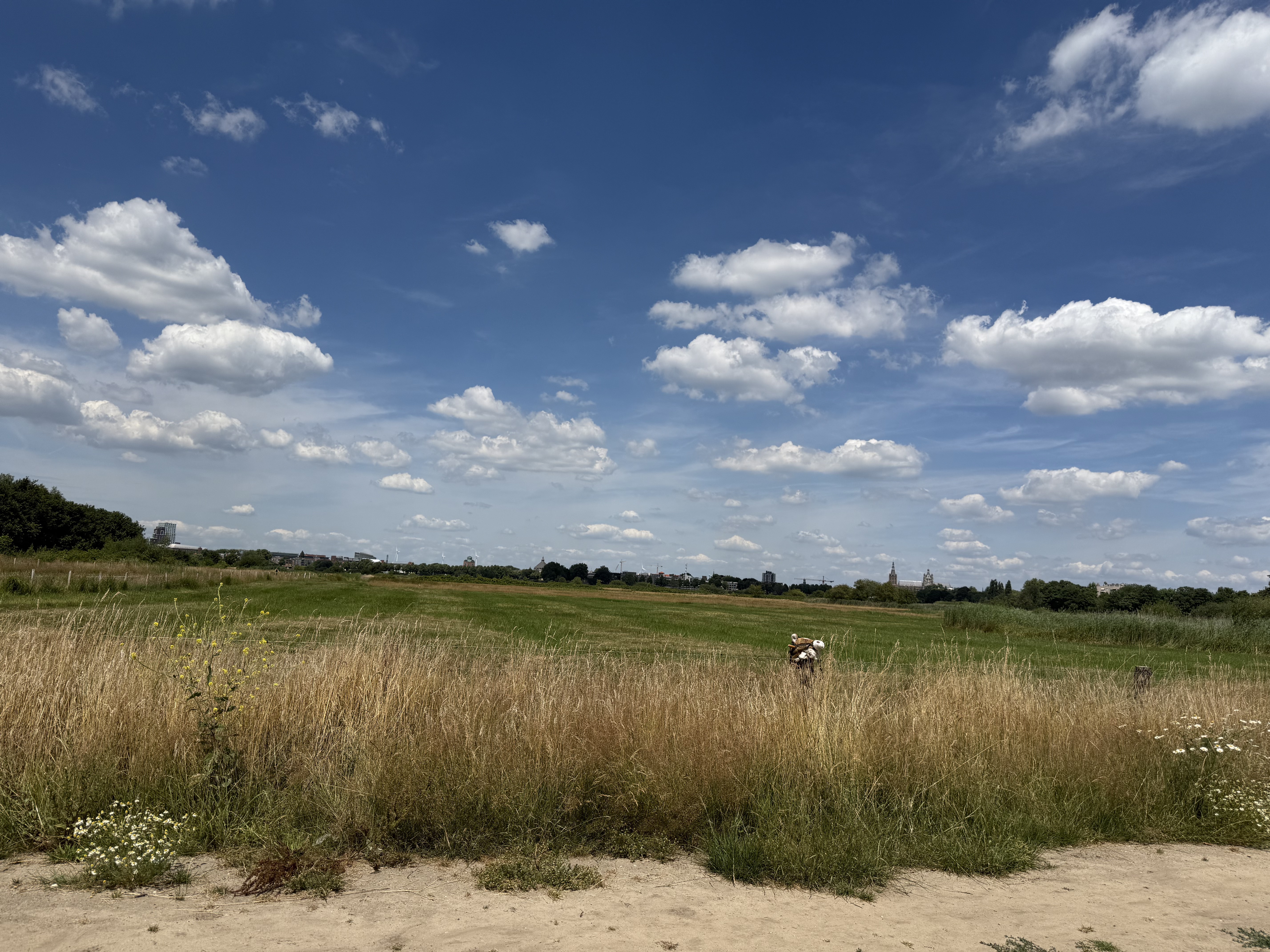 Sterrebosweg, 's‑Hertogenbosch naar Sterrebosweg, 's‑Hertogenbosch