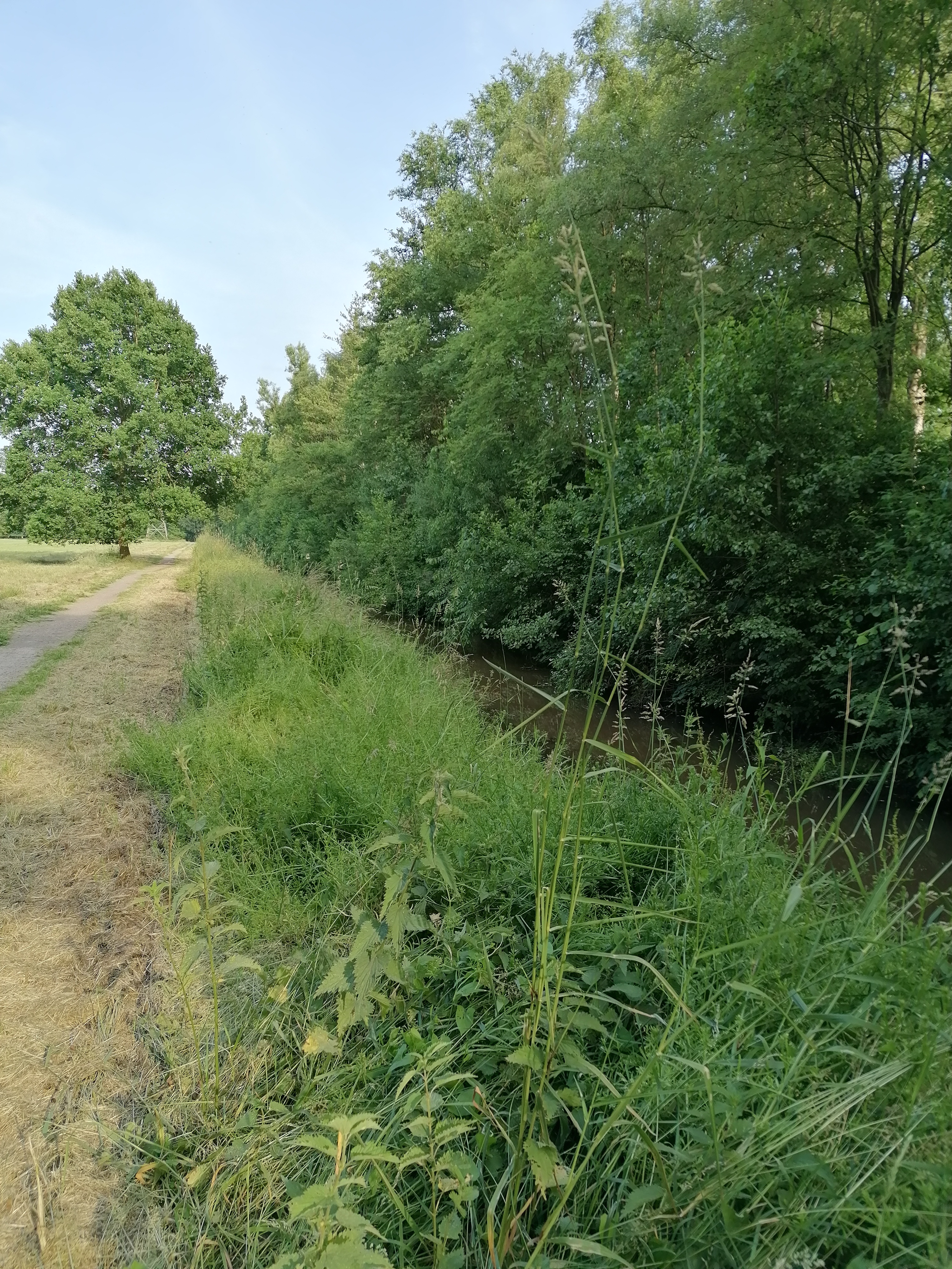 Runde um Hude mit Hurreler Straße (Asphalt, flott)