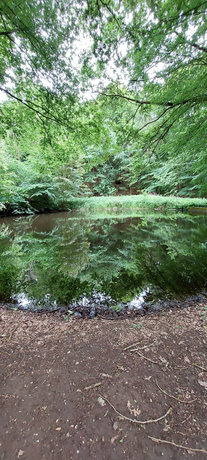 Von Bosau nach Malente und Zurück