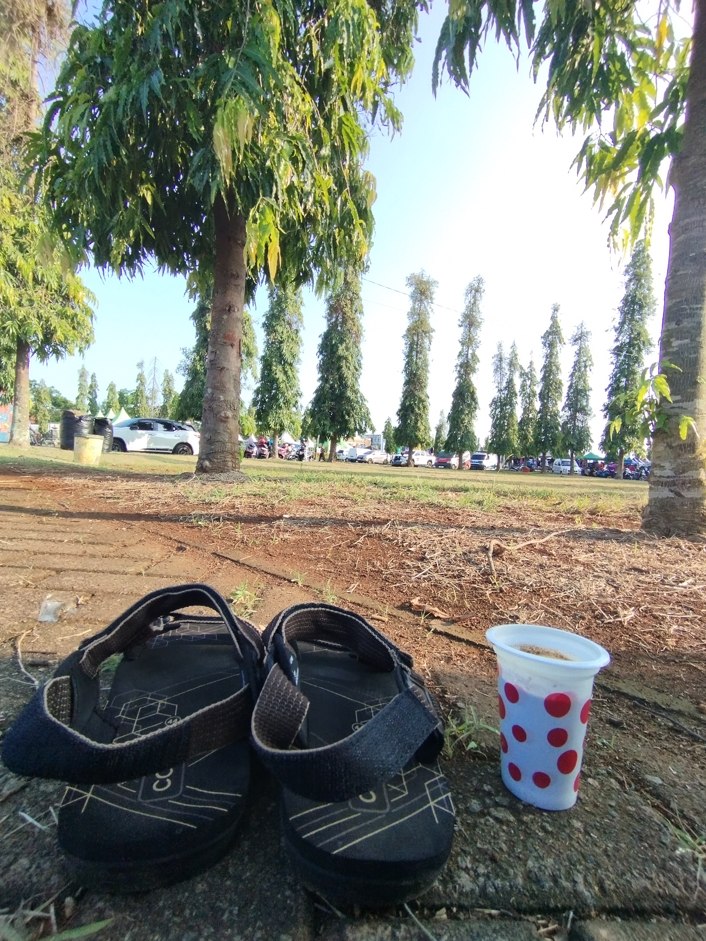 stadion