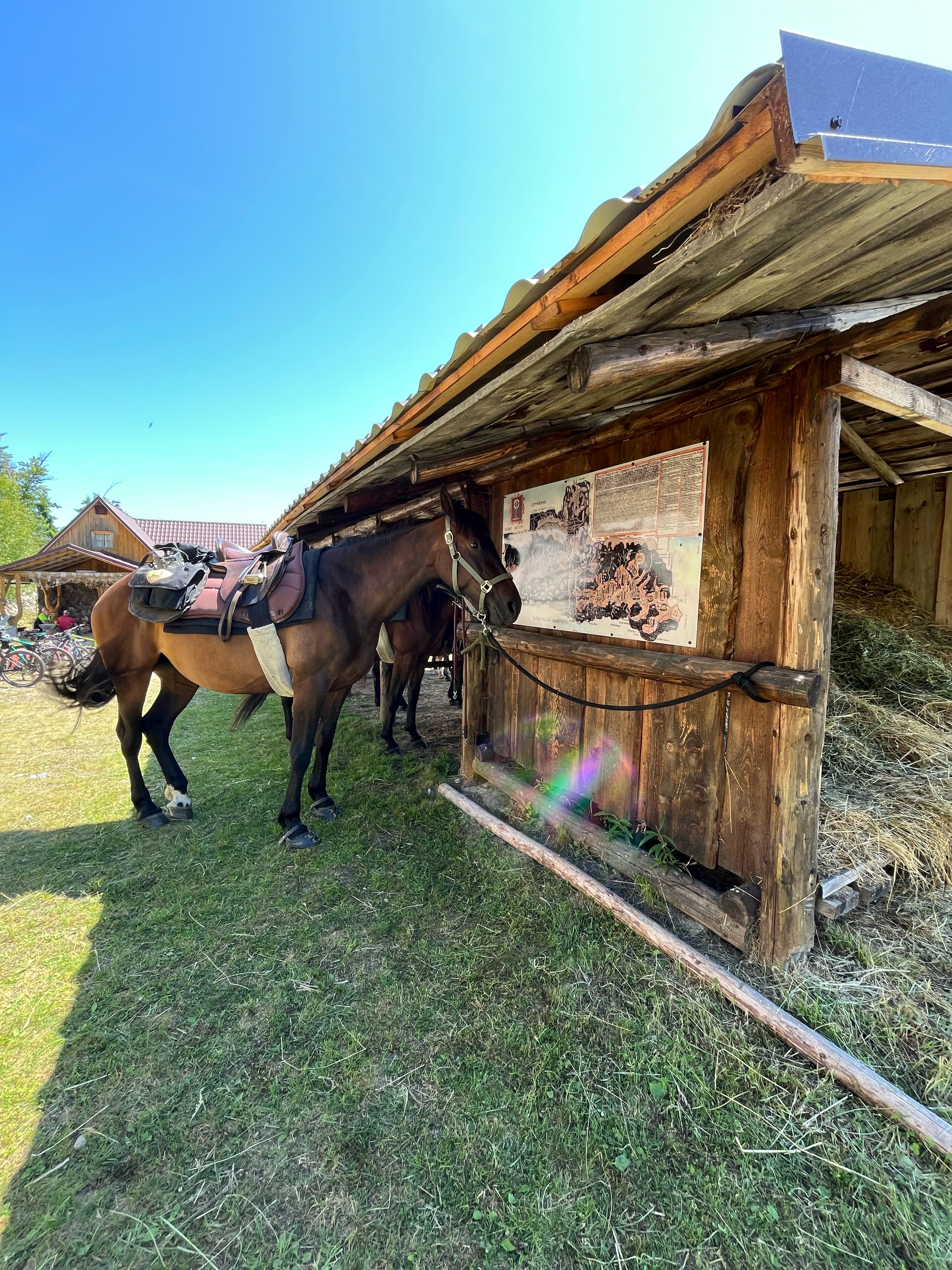 Nová, Čierny Balog až Nová, Čierny Balog