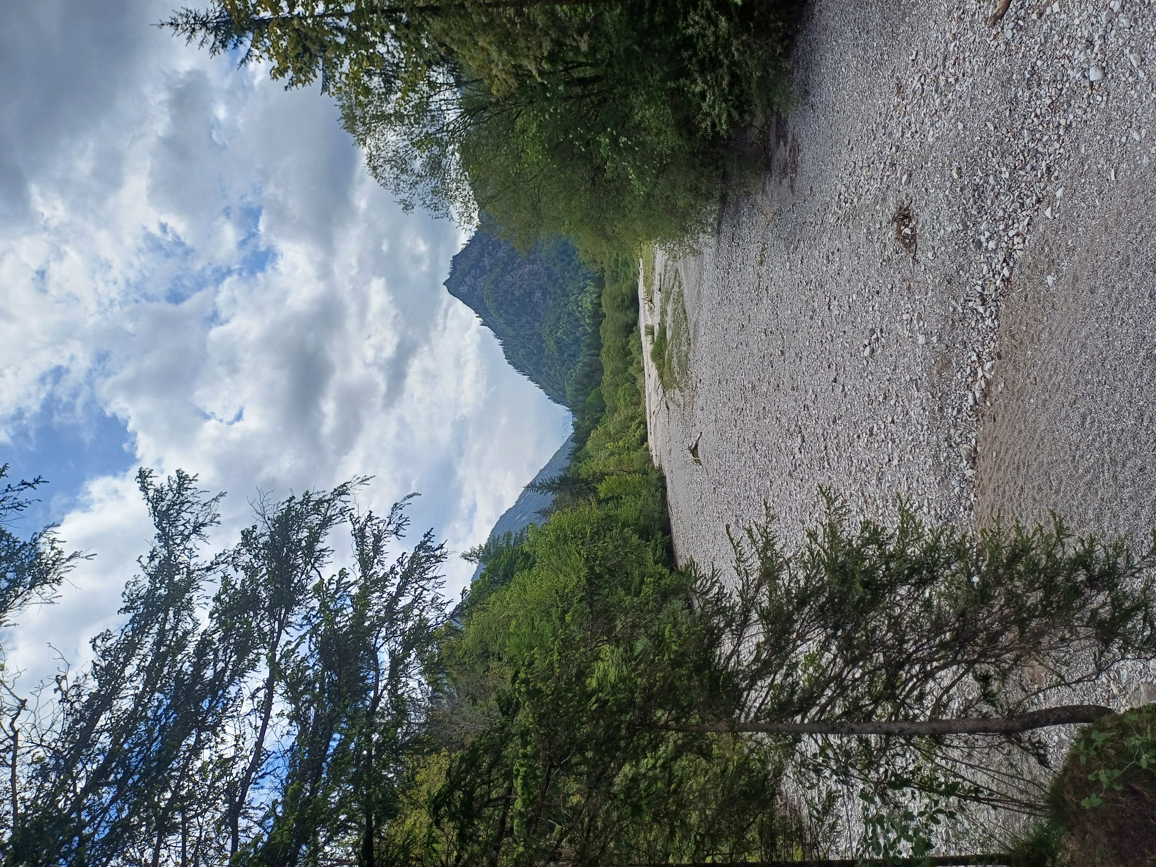 Röthelmoosalm