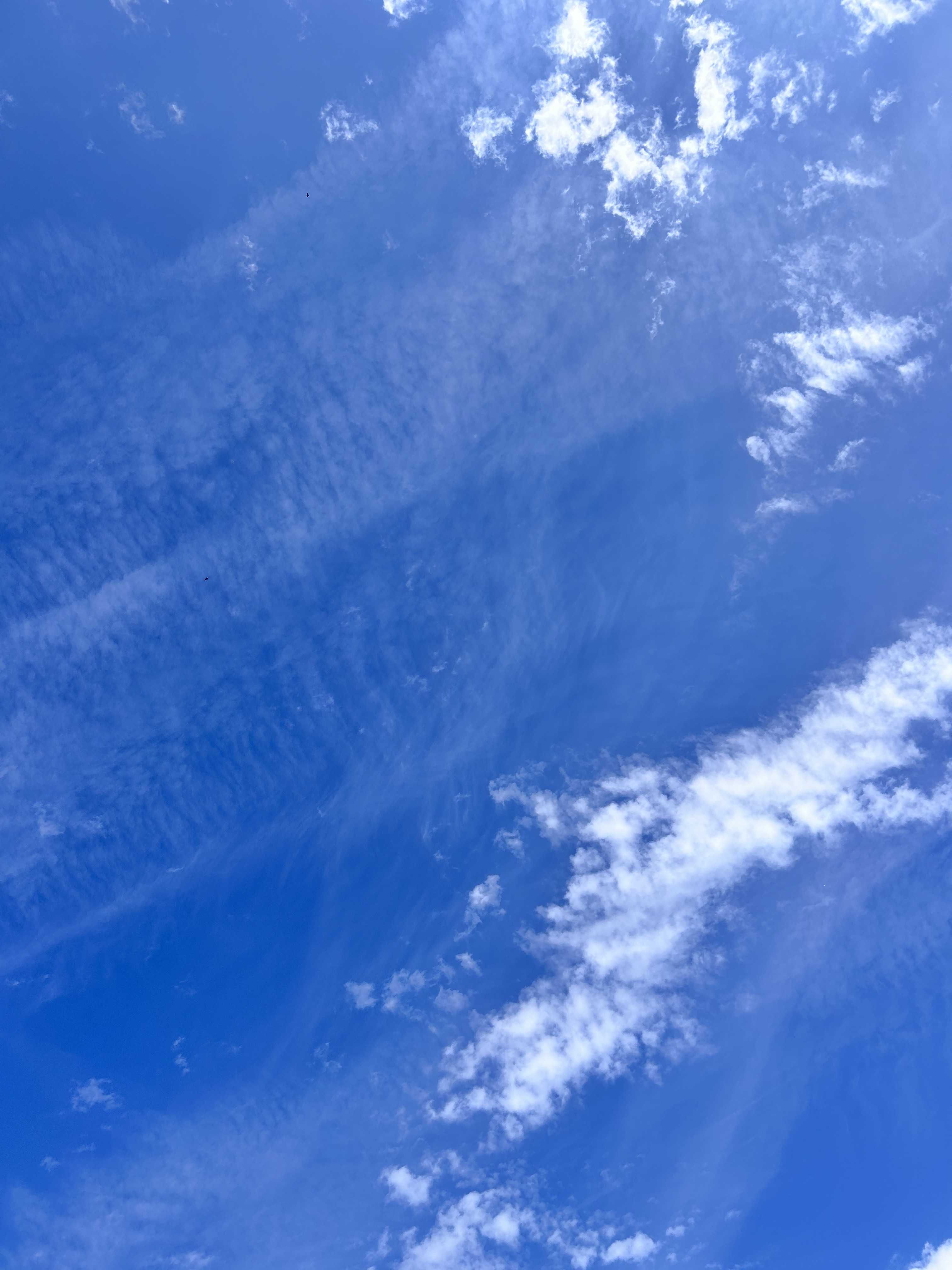 Foto 5 der Bikemap-Route "District 01, Doesburg nach District 01, Doesburg" Foto 5 der Bikemap-Route "District 01, Doesburg nach District 01, Doesburg"