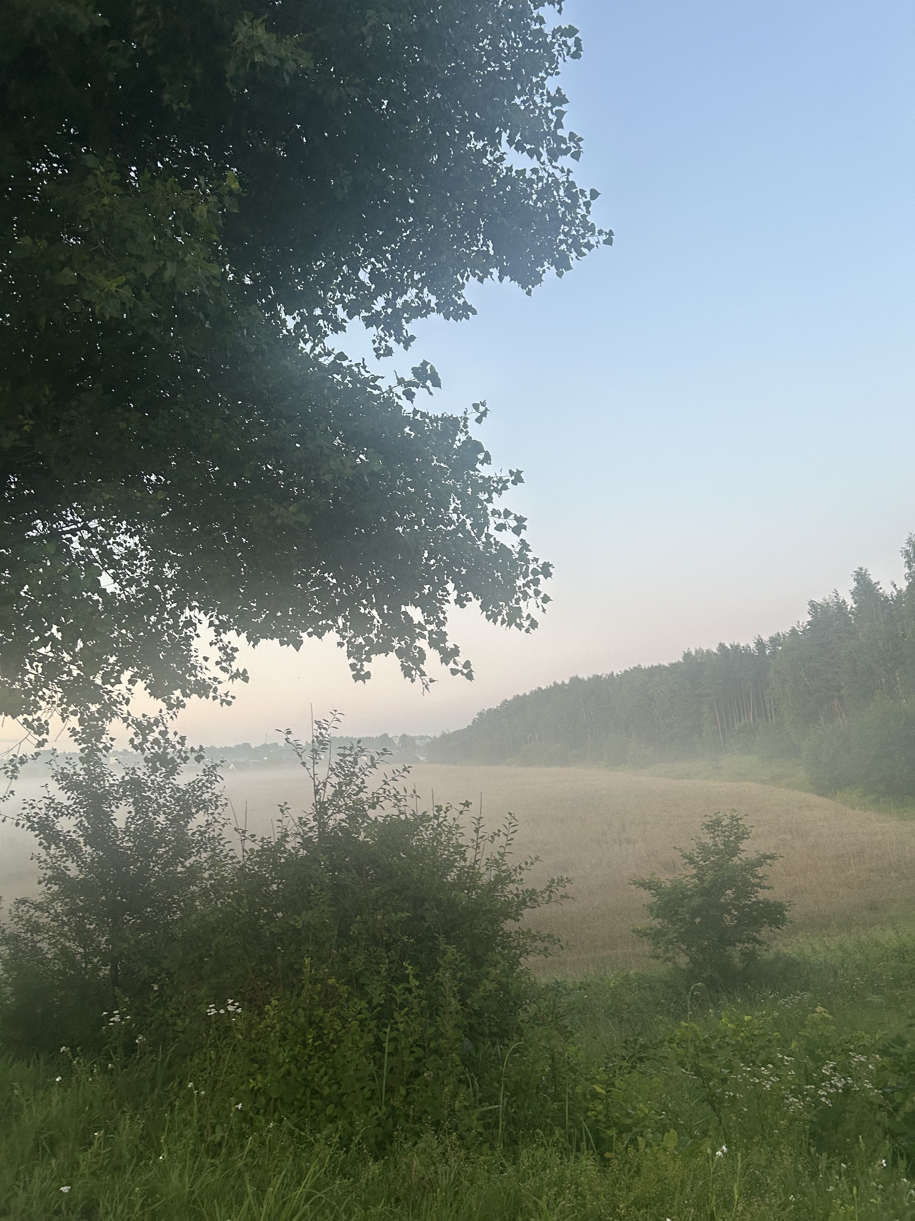 улица Николая Островского, Могилев до улица Симонова, Могилев