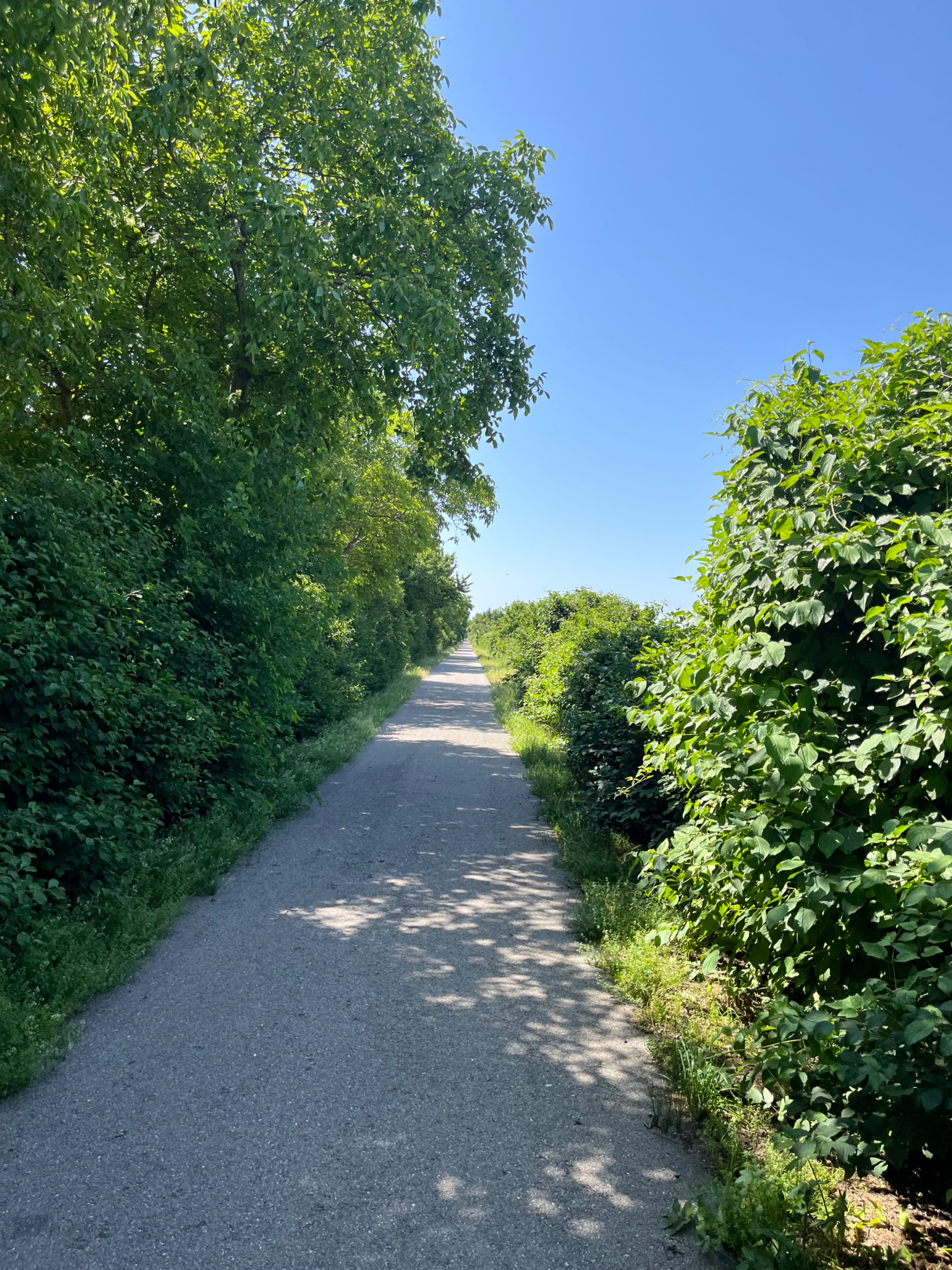Rundradweg von Wien über Marchfeldkanal / Russbach, Dampfradweg und Donauradweg zurück nach Wien